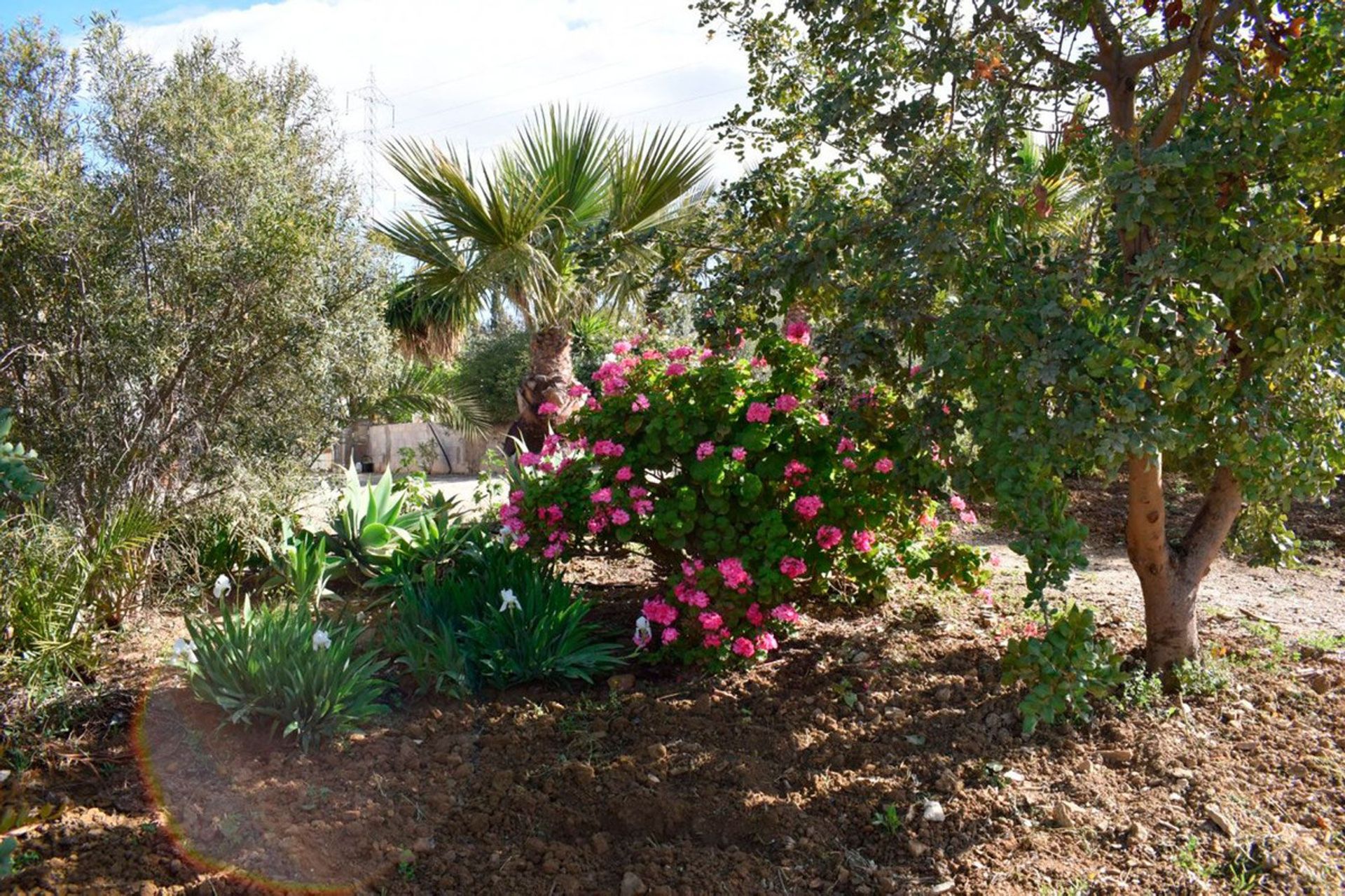 House in Álora, Andalucía 10713810