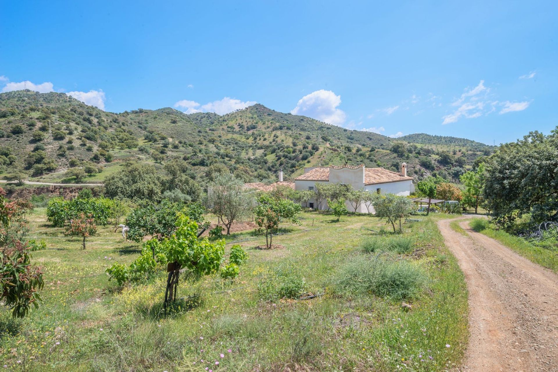 Huis in Cartama, Andalusië 10713874