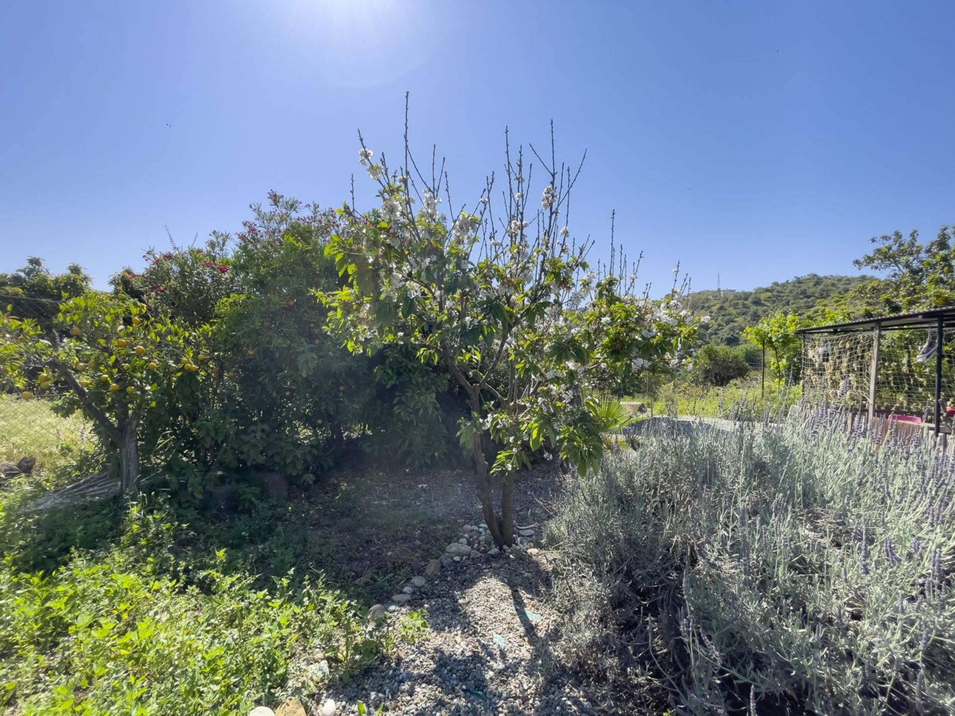 Hus i Coín, Andalucía 10713941