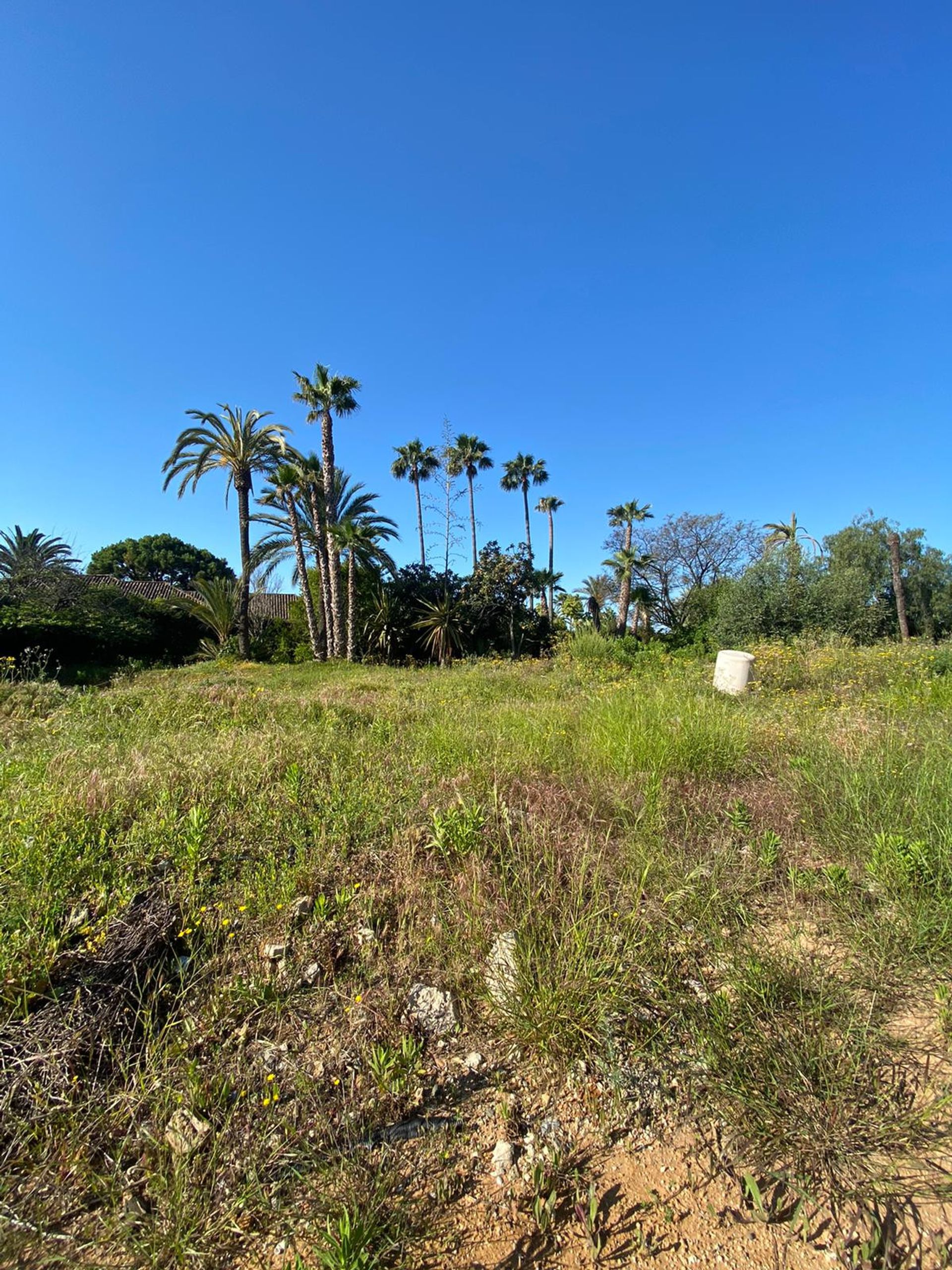 Tierra en El Ángel, Andalucía 10714037