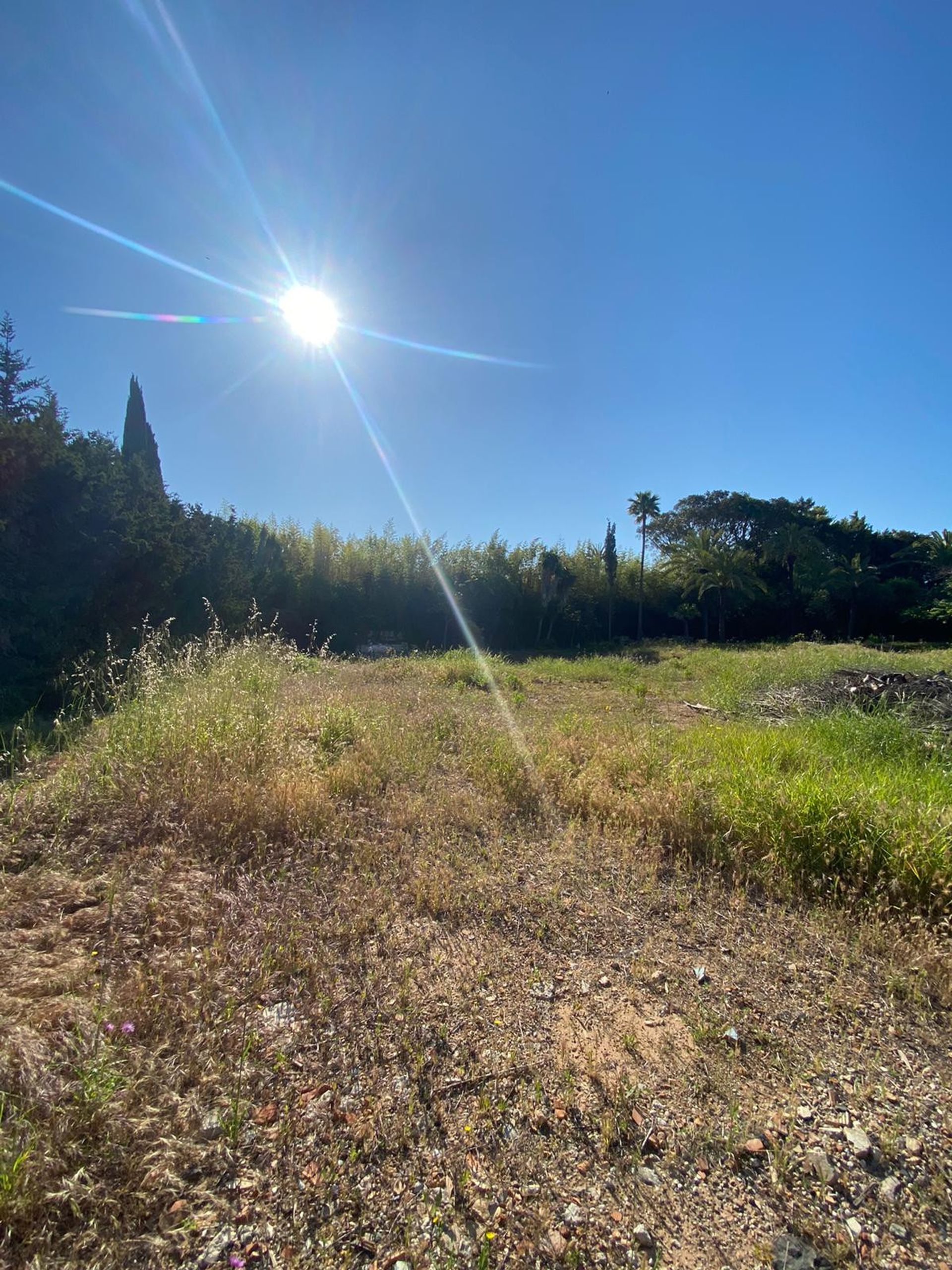 Land in El Engel, Andalusië 10714037