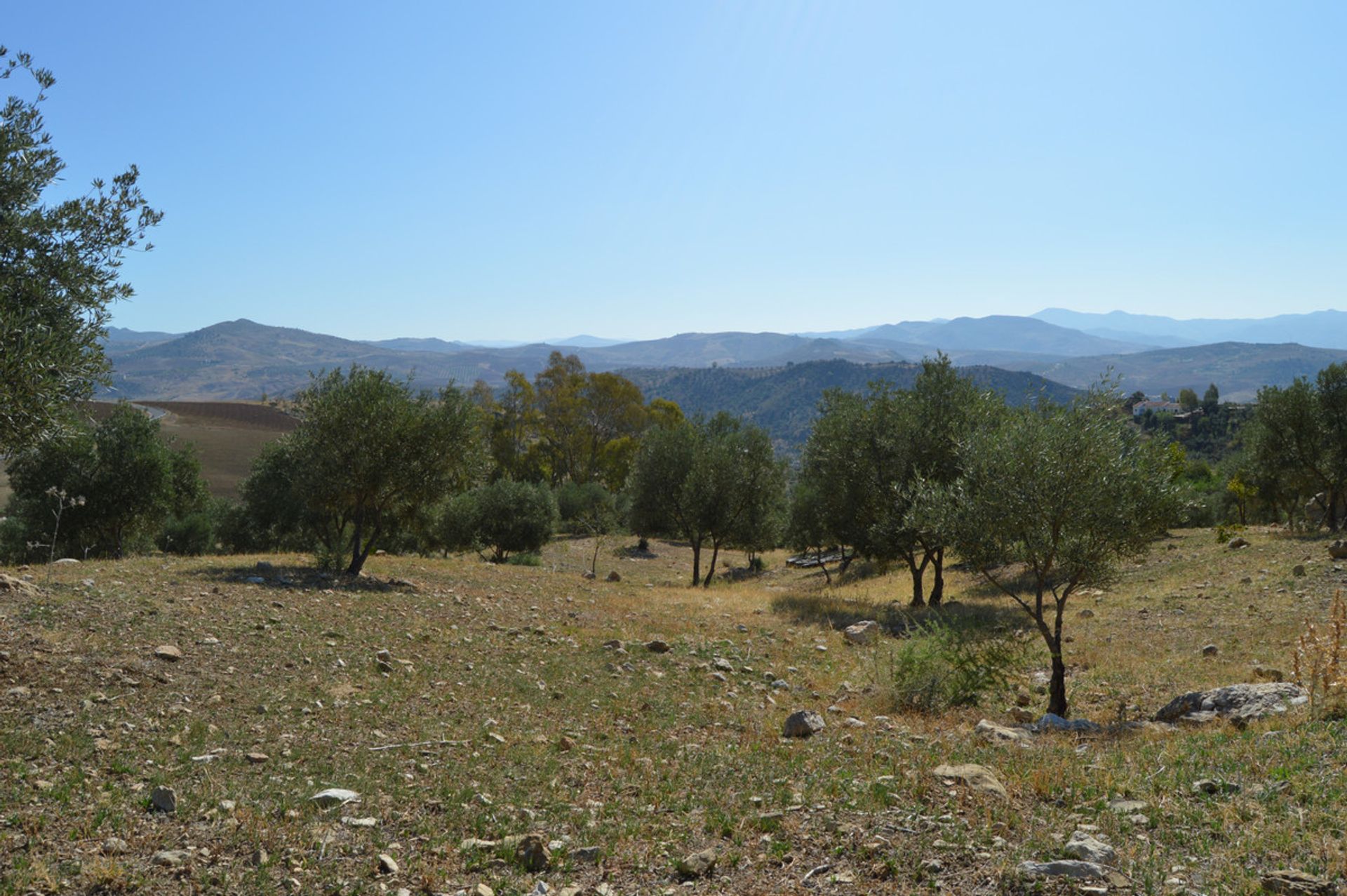 Terre dans Carratraça, Andalousie 10714182