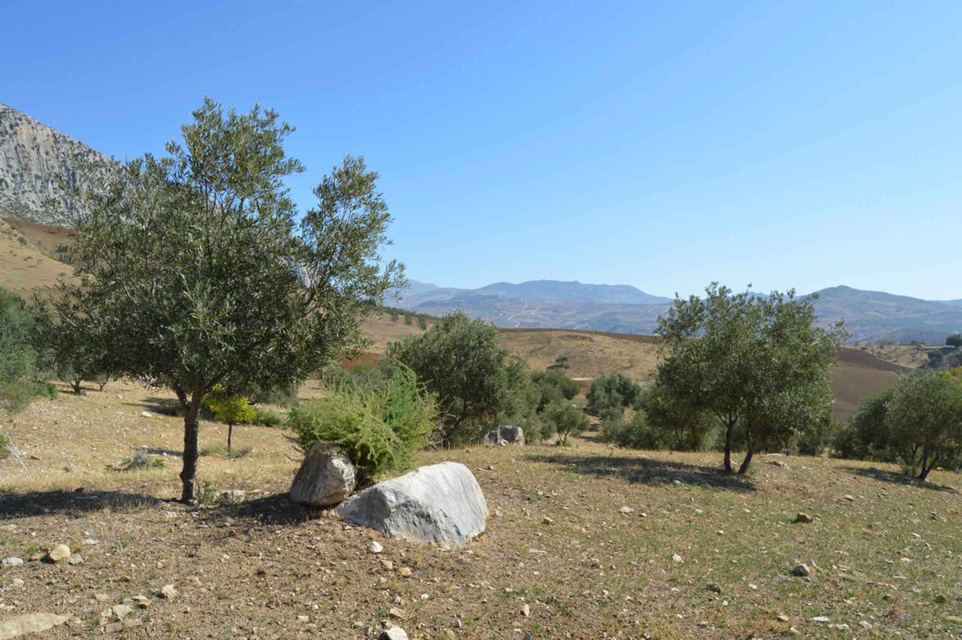 Terre dans Carratraça, Andalousie 10714182