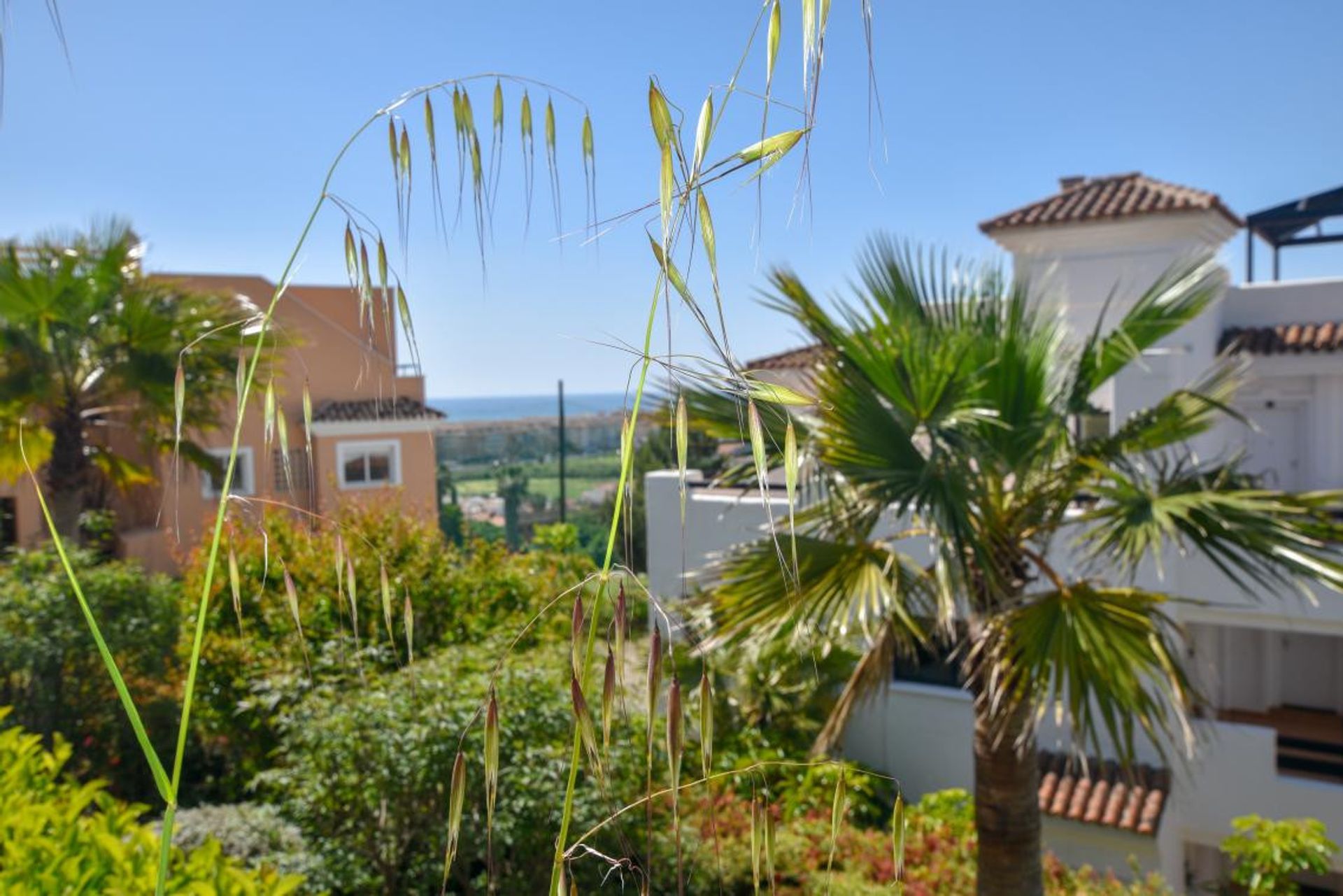 عمارات في Casares, Andalucía 10714221