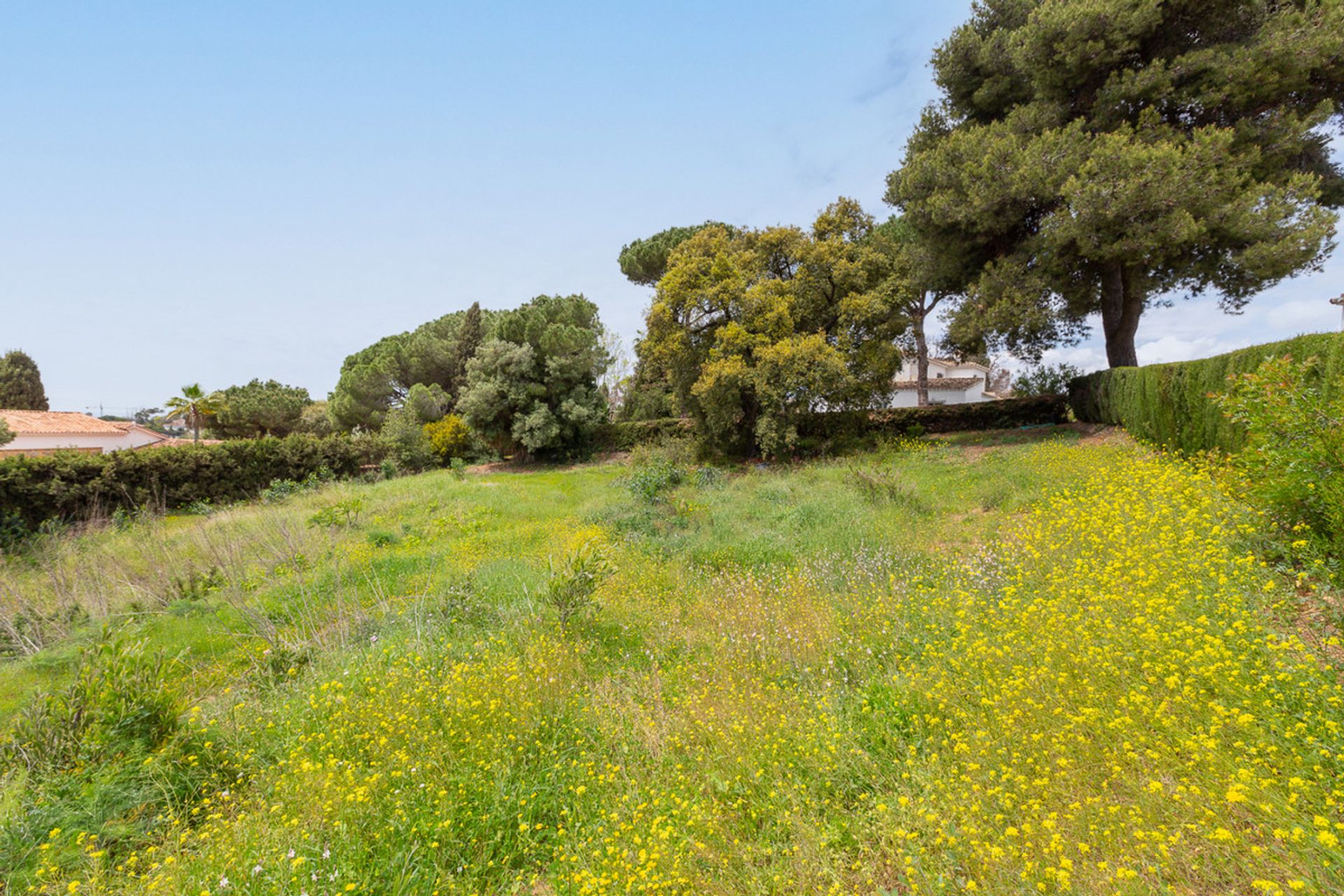 House in Ojen, Andalusia 10714233