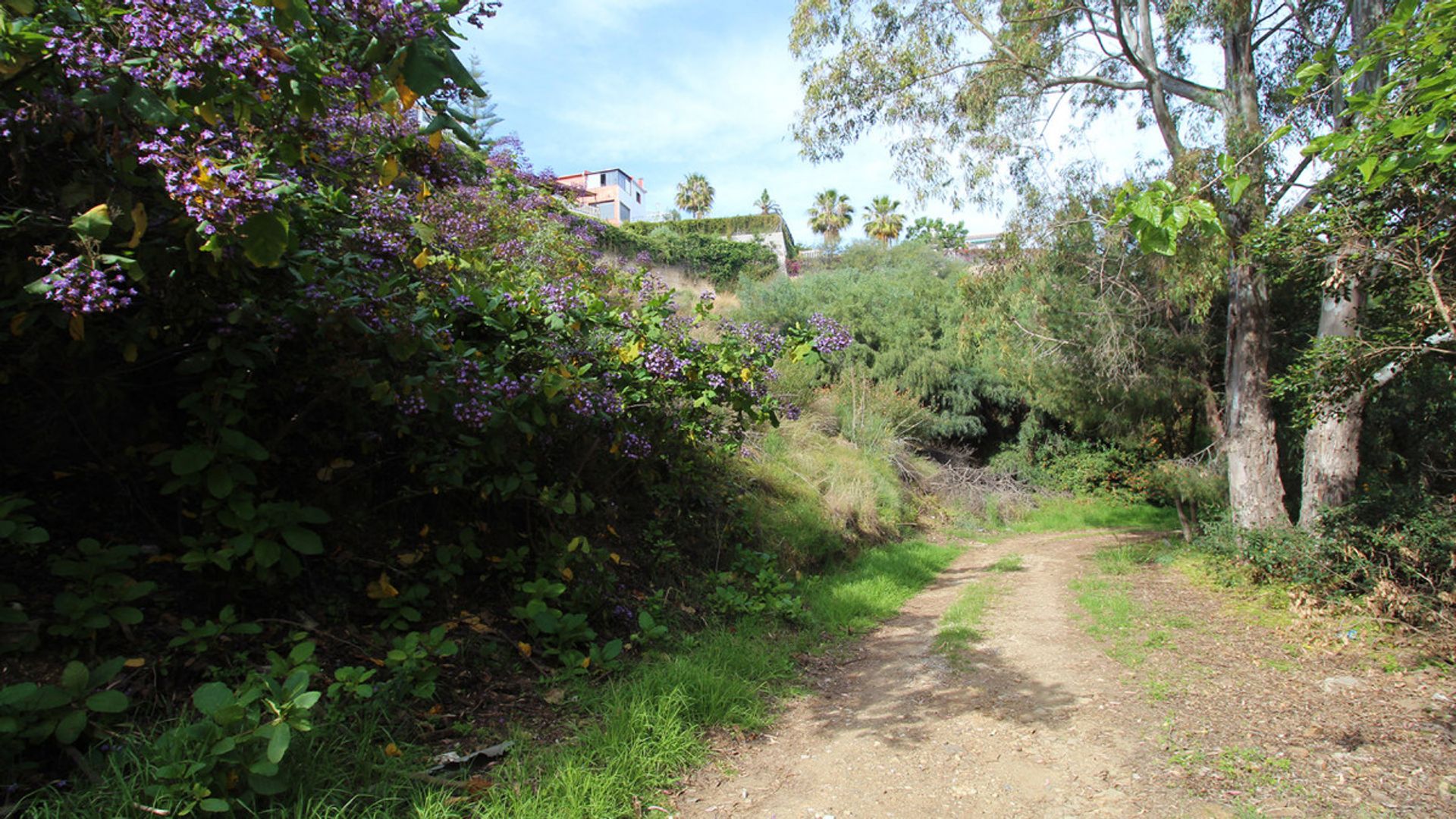 Land in Arroyo de la Miel, Andalusia 10714282