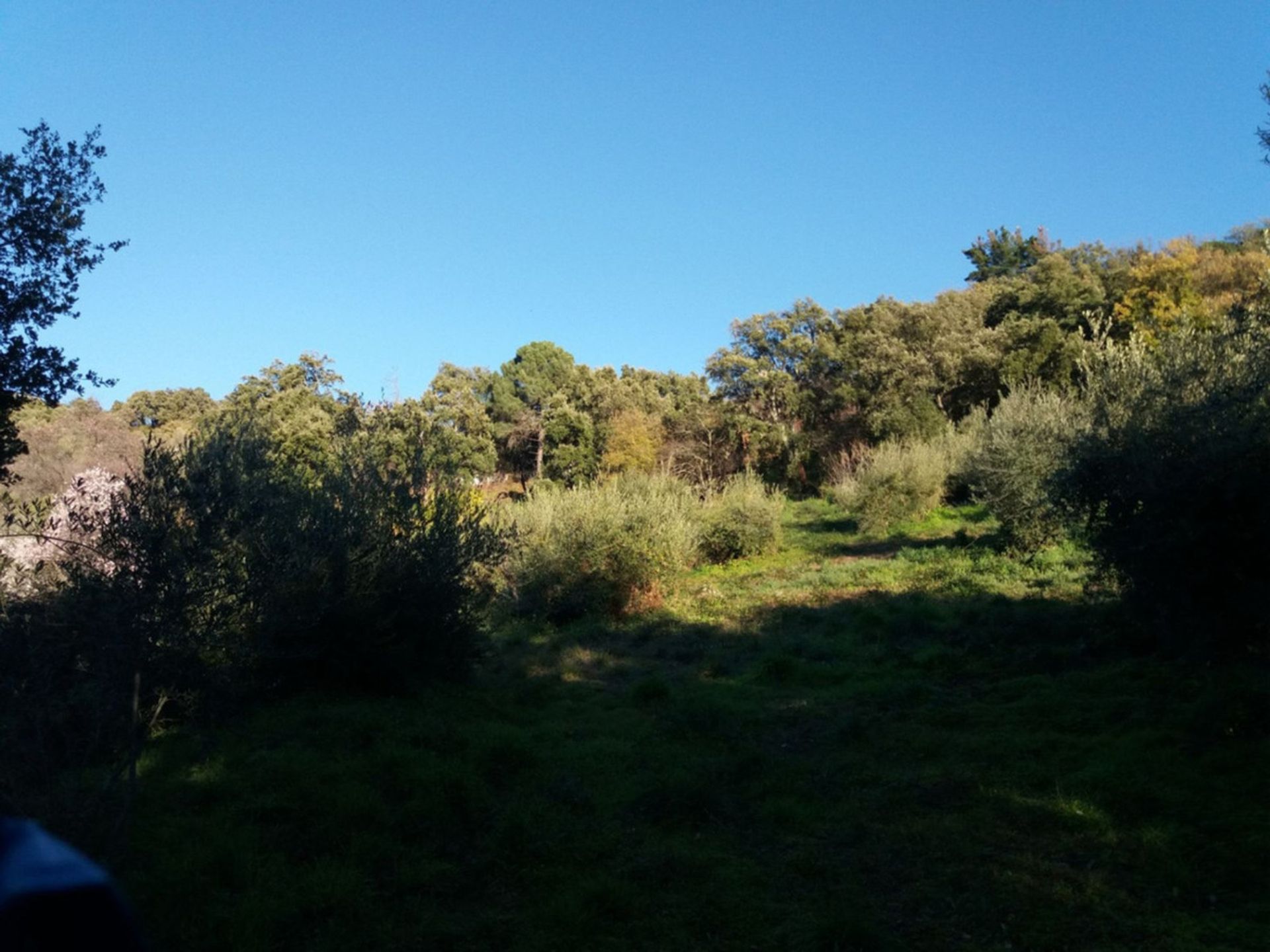 Tierra en El Ángel, Andalucía 10714533