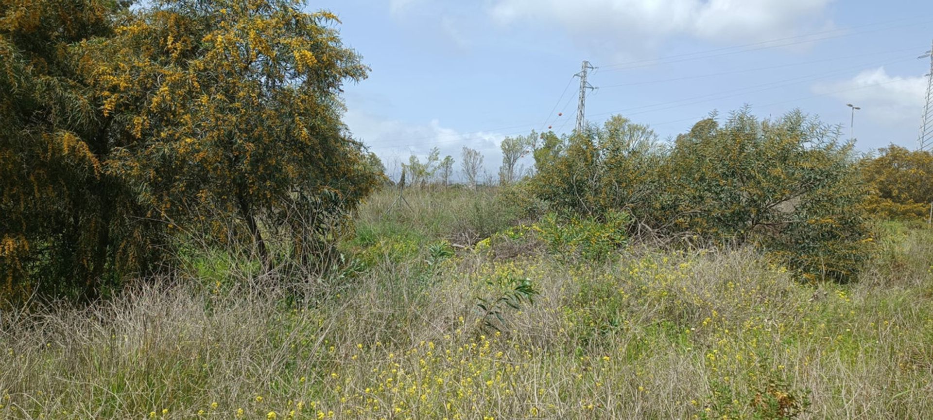 Tanah di Marbella, Andalucía 10714654