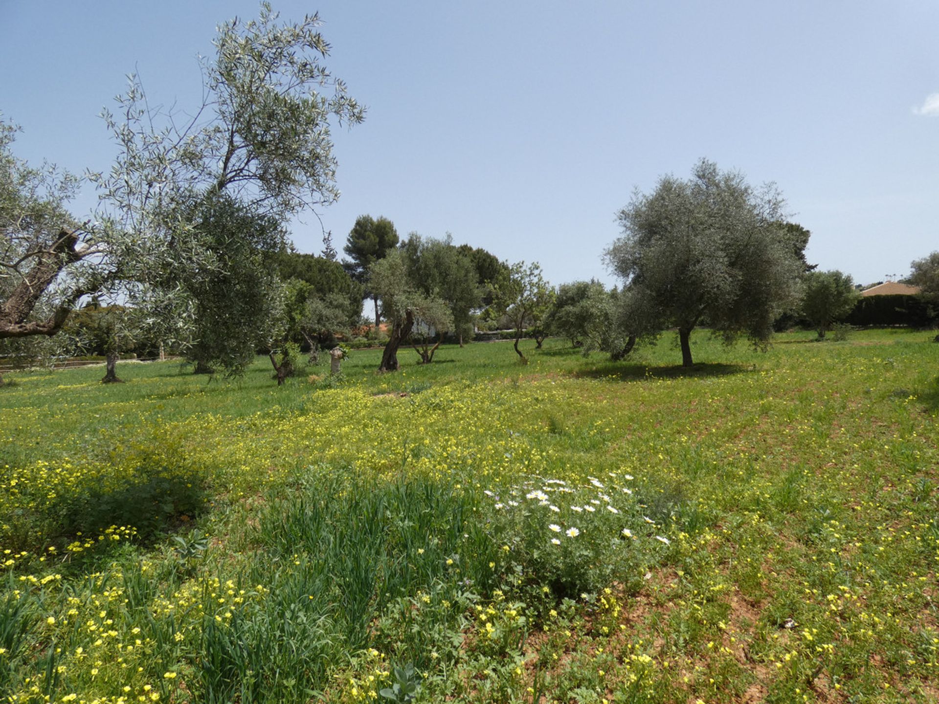 Talo sisään Alhaurin el Grande, Andalusia 10714790