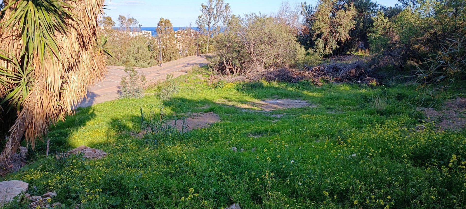 Land in Arroyo de la Miel, Andalusia 10714824