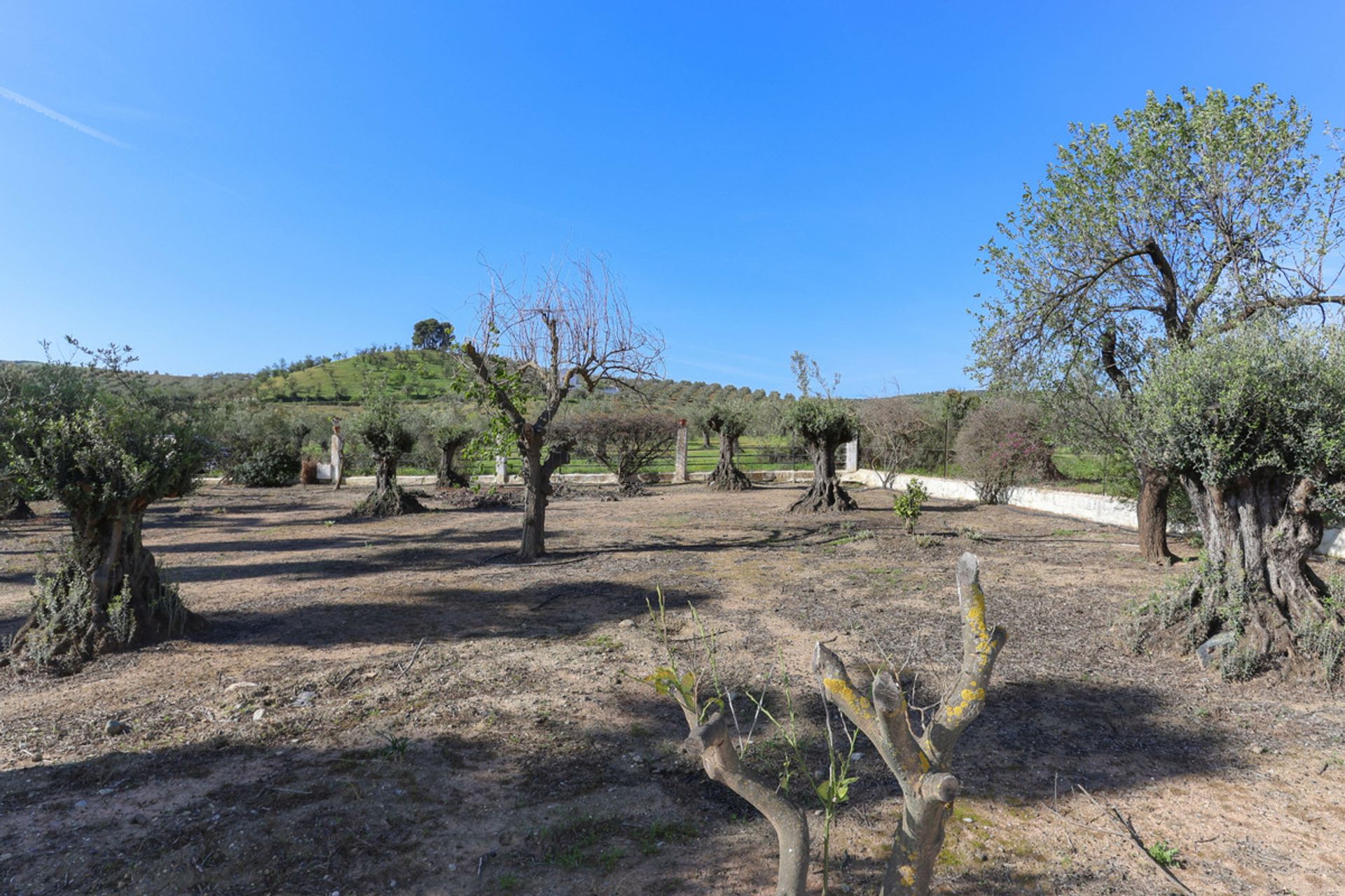 Rumah di Casarabonela, Andalusia 10714825