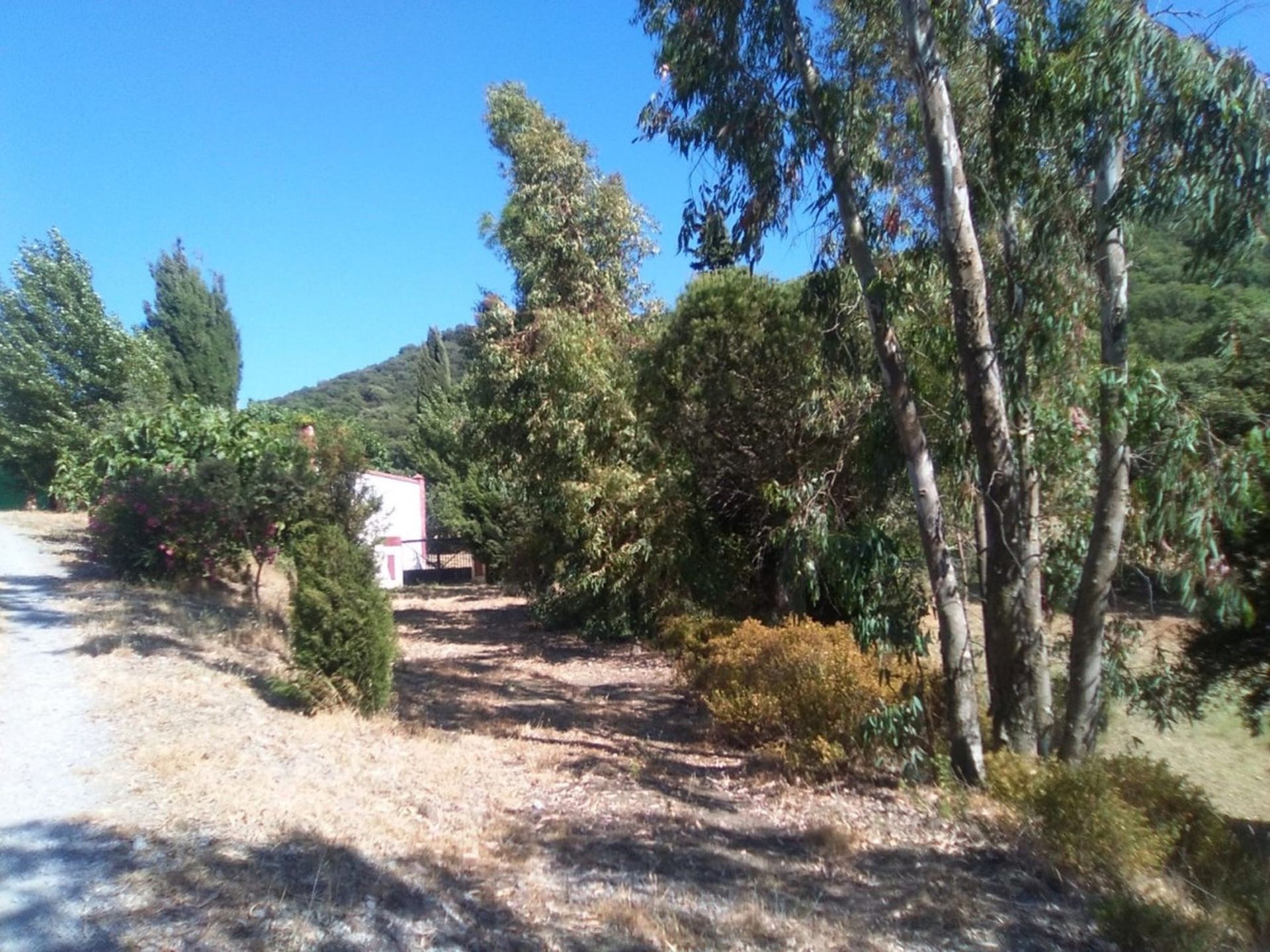 Huis in Alcaucín, Andalucía 10714957