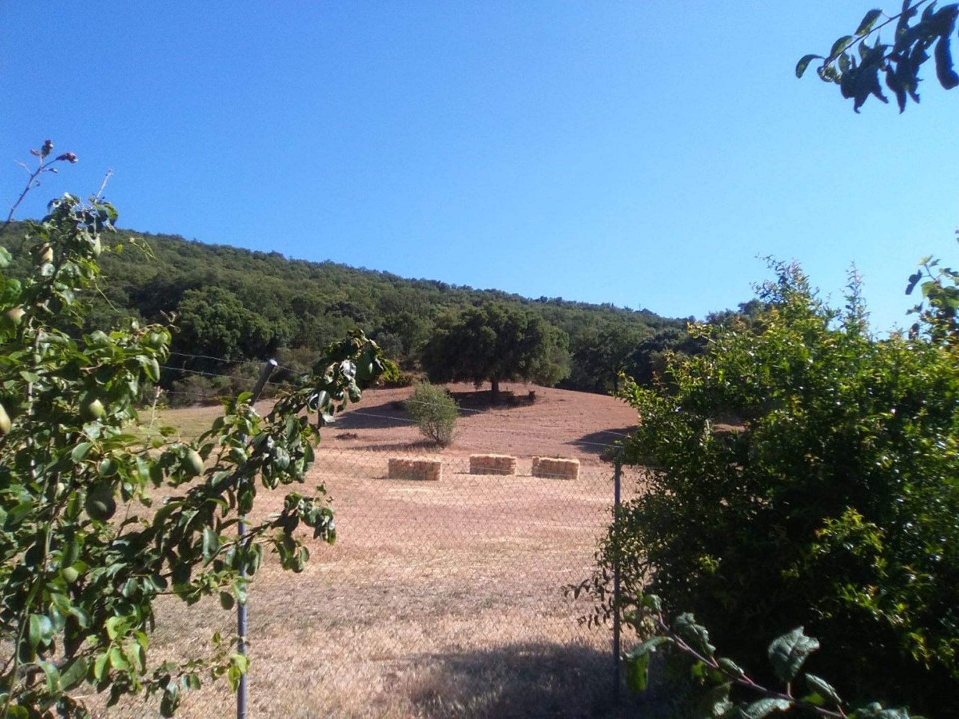 Huis in Alcaucín, Andalucía 10714957