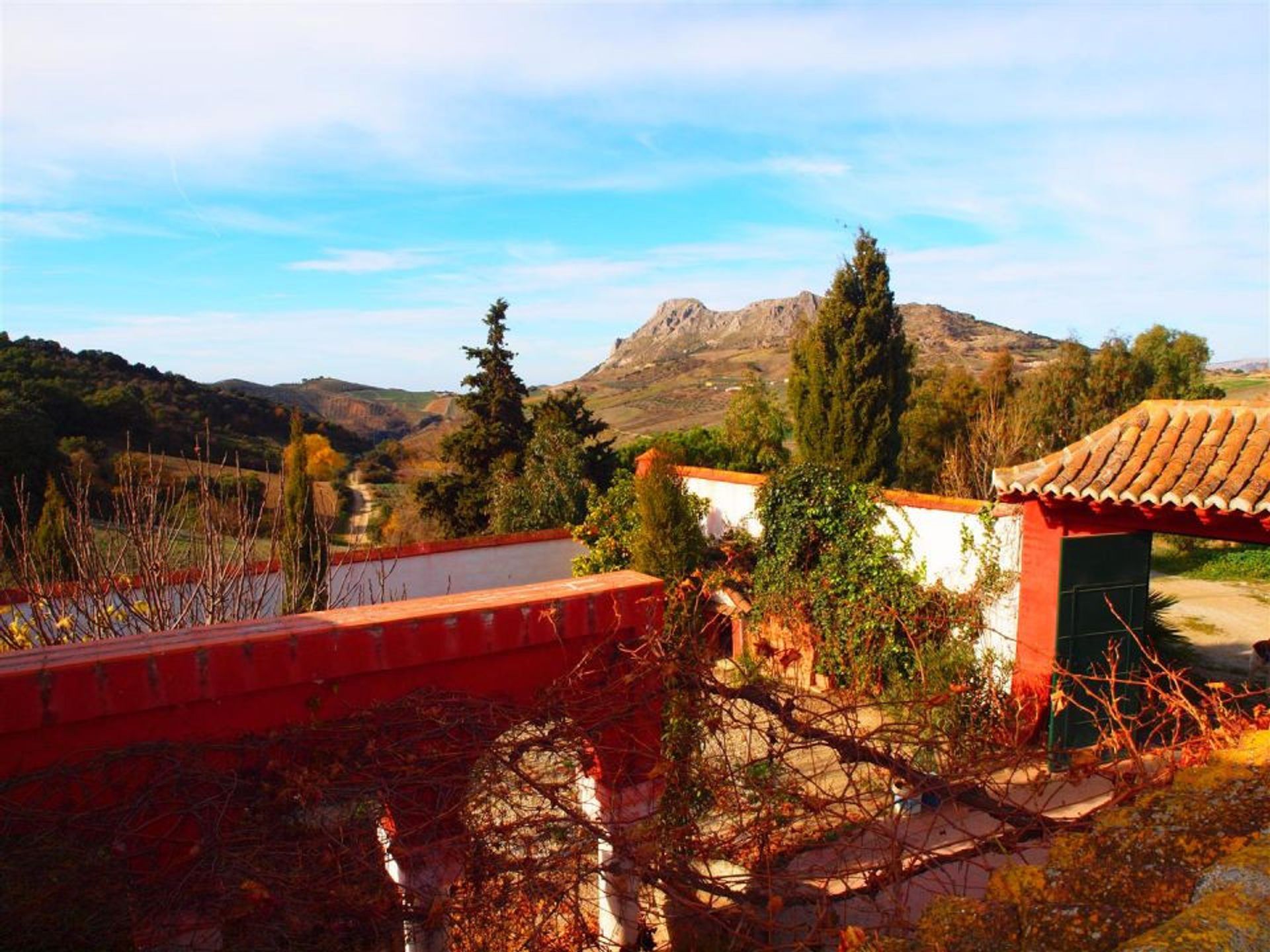 σπίτι σε Alcaucín, Andalucía 10714957