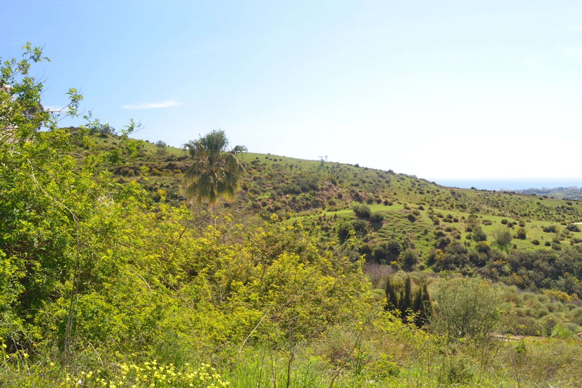 Jord i Mijas, Andalucía 10715251