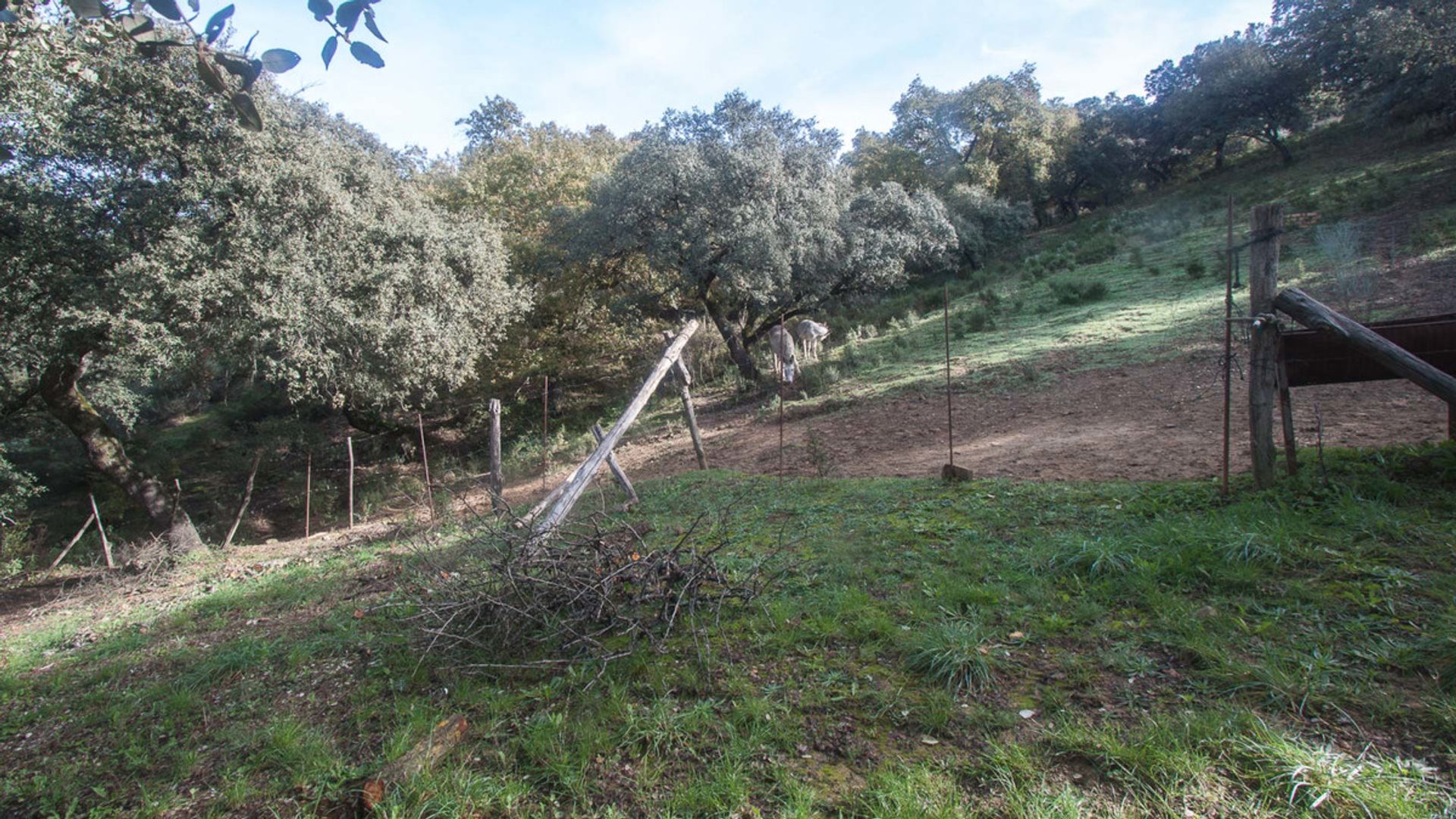 жилой дом в Gaucín, Andalucía 10715445