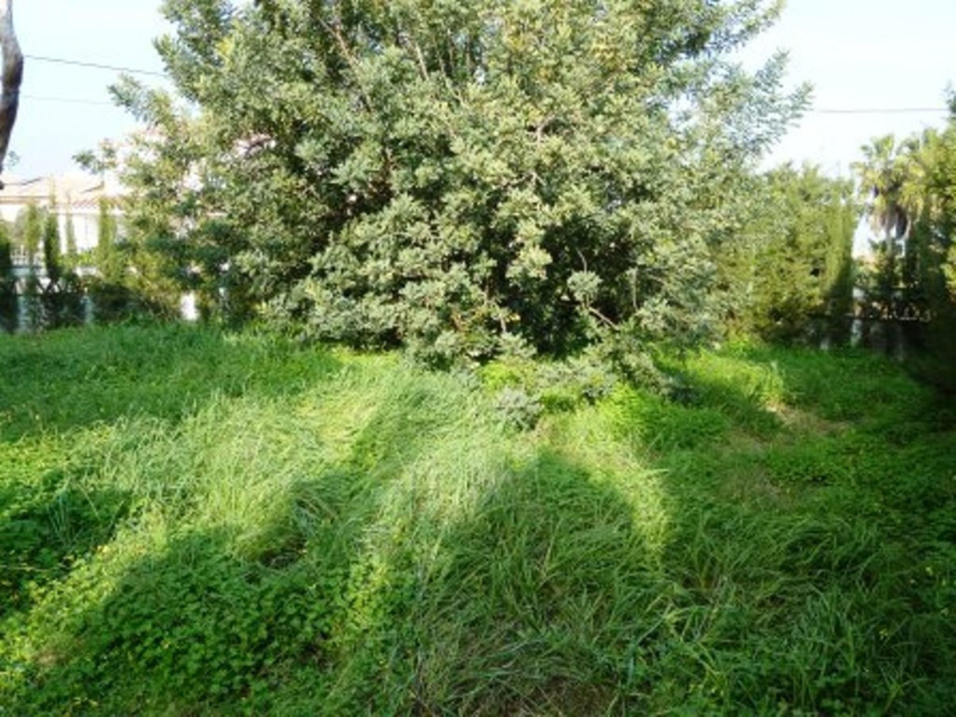 Huis in Alhaurín de la Torre, Andalucía 10715543