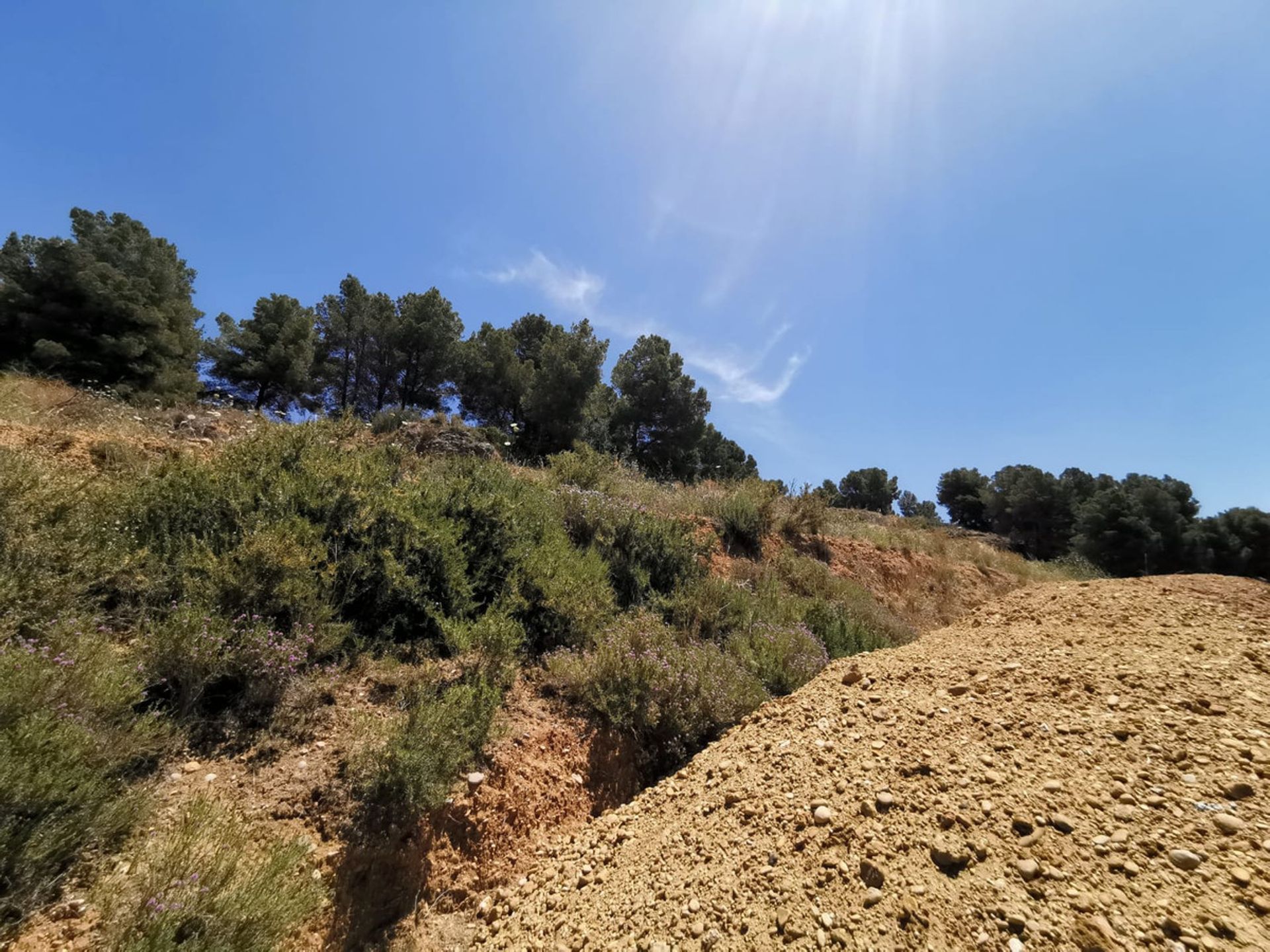 土地 在 Alhaurín de la Torre, Andalucía 10715616