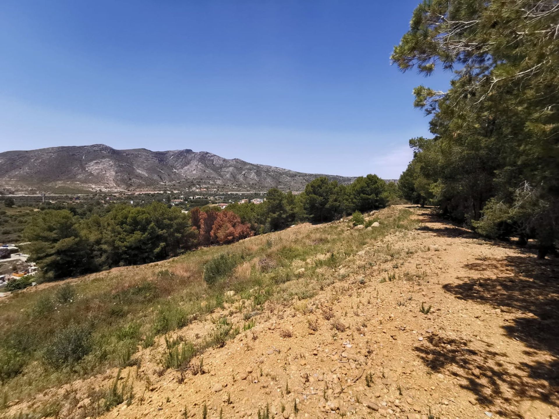 土地 在 Alhaurín de la Torre, Andalucía 10715616