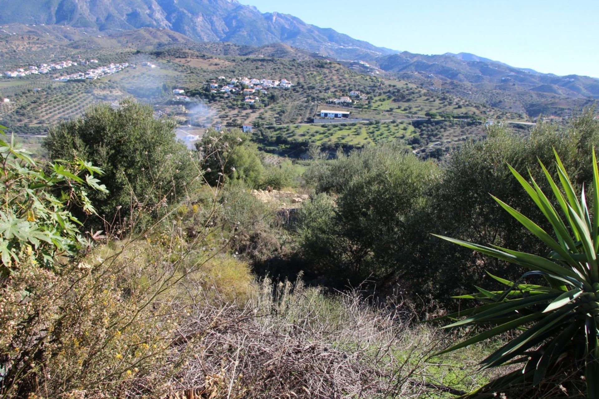 Terre dans Viñuela, Andalucía 10715633