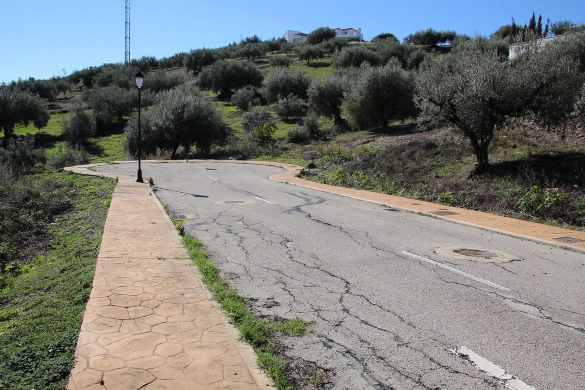 Terre dans Viñuela, Andalucía 10715633