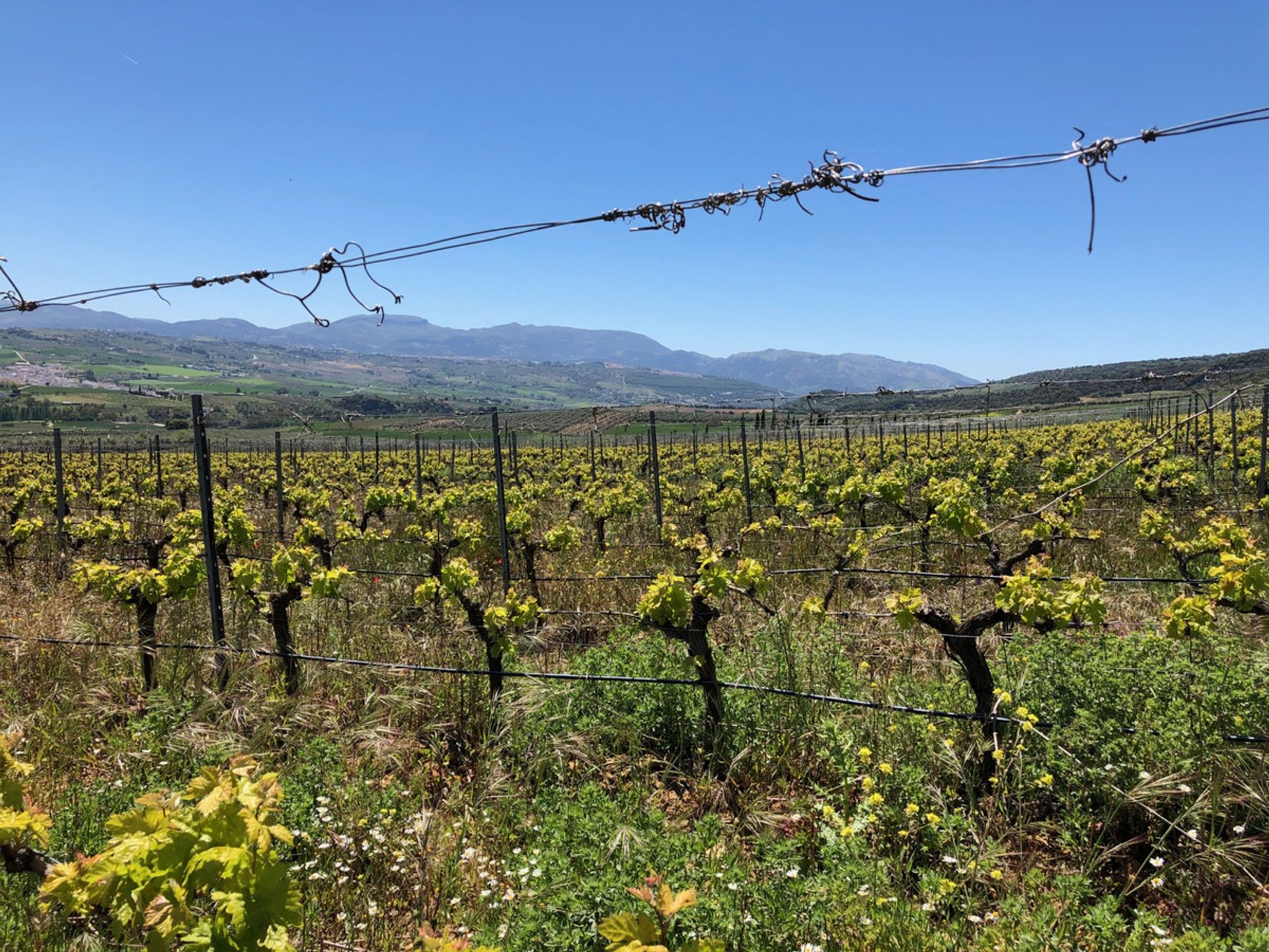 Industri di Ronda, Andalucía 10715640