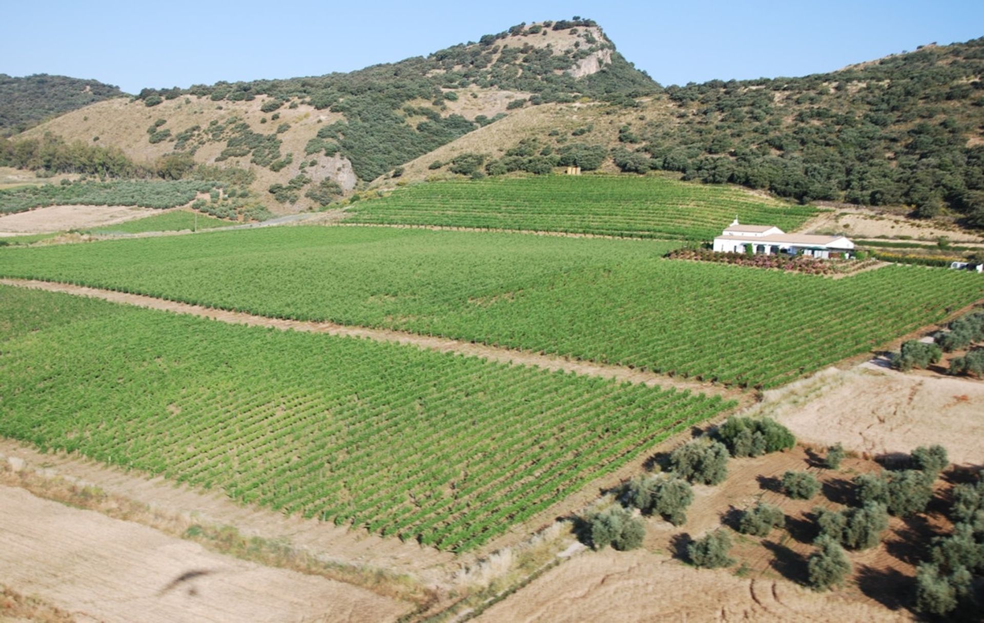 Industri di Ronda, Andalucía 10715640