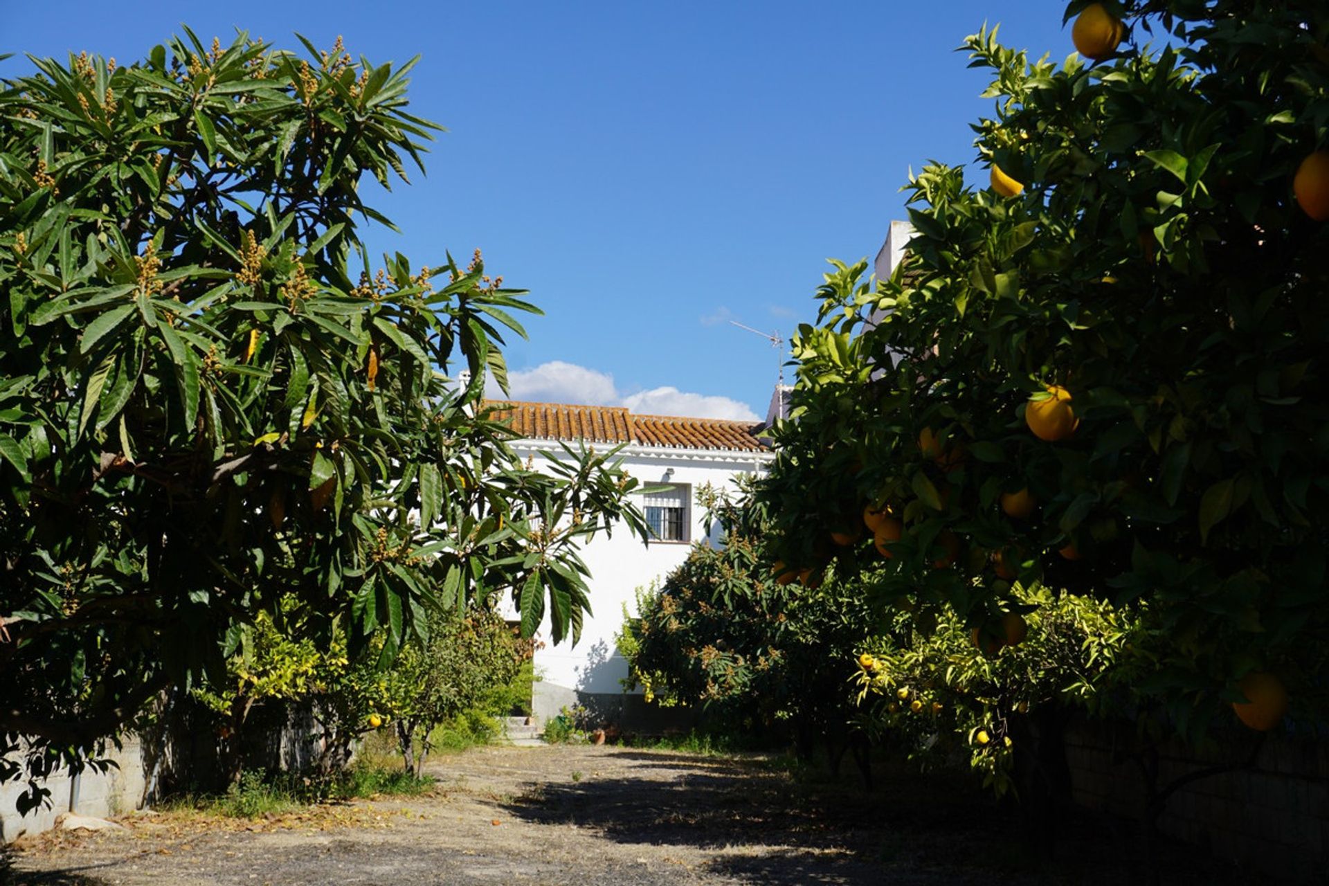 σπίτι σε Alcaucín, Andalucía 10715658