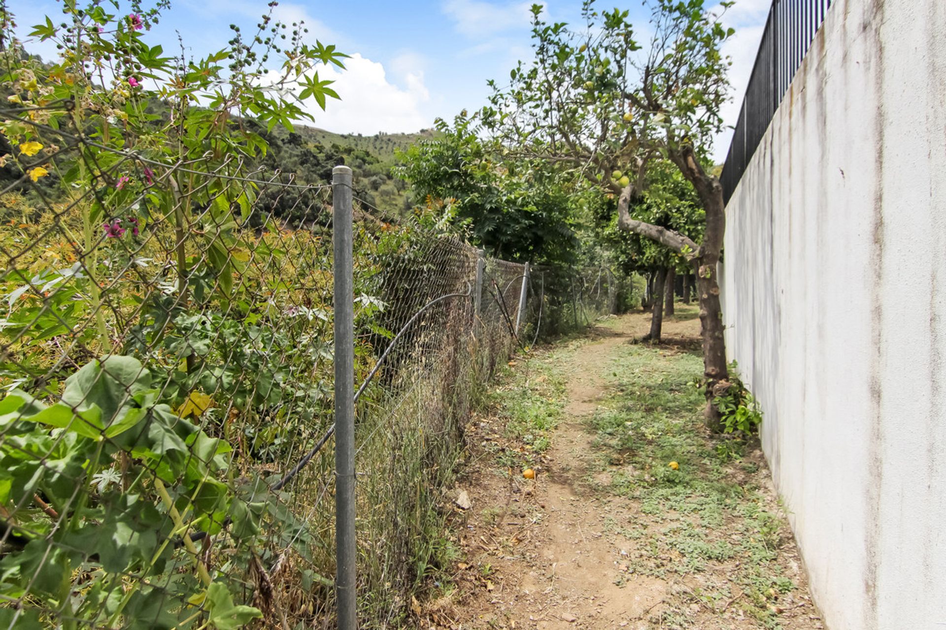 Hus i Benamargosa, Andalucía 10715662