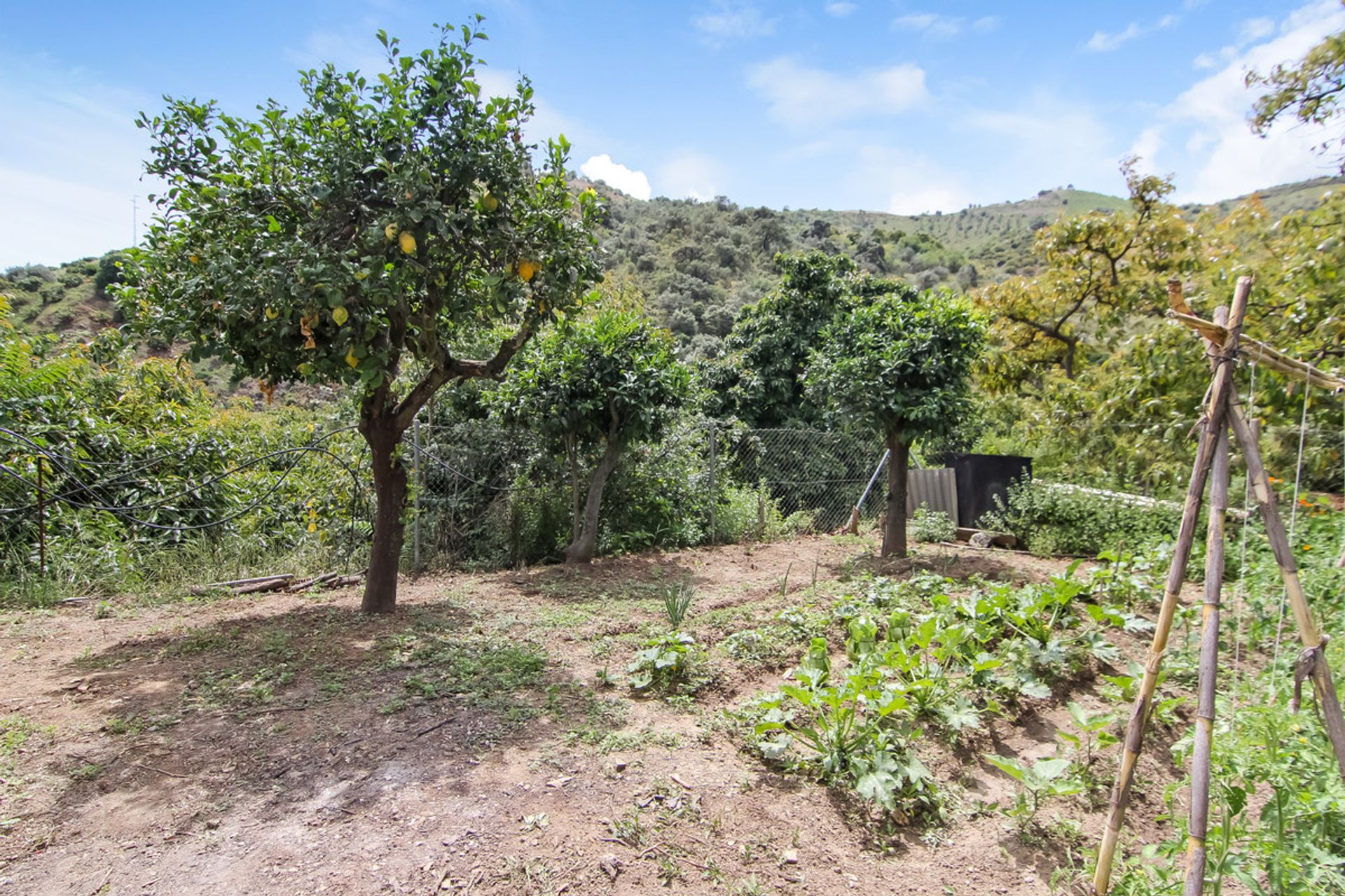 rumah dalam Benamargosa, Andalucía 10715662