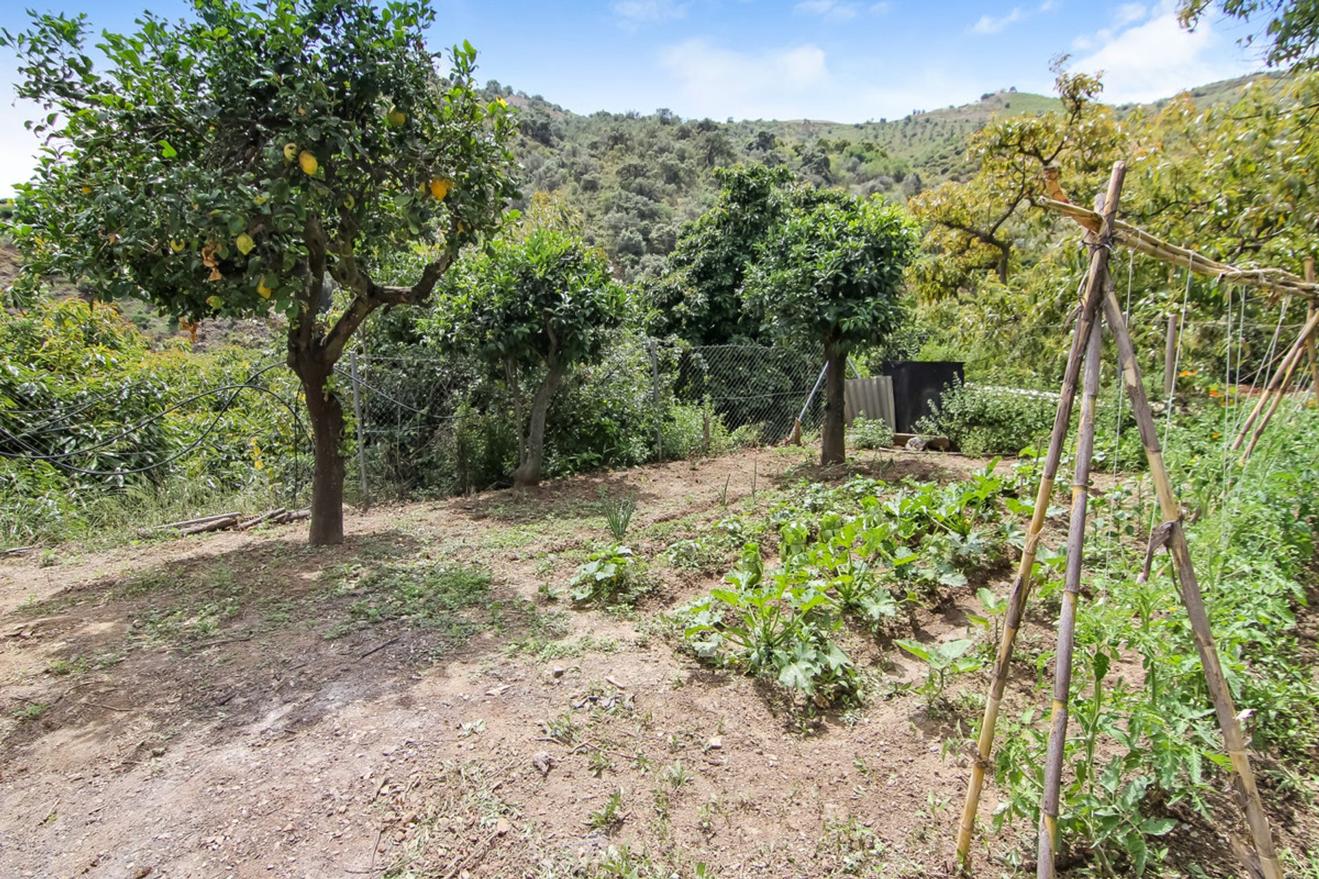 rumah dalam Benamargosa, Andalucía 10715662