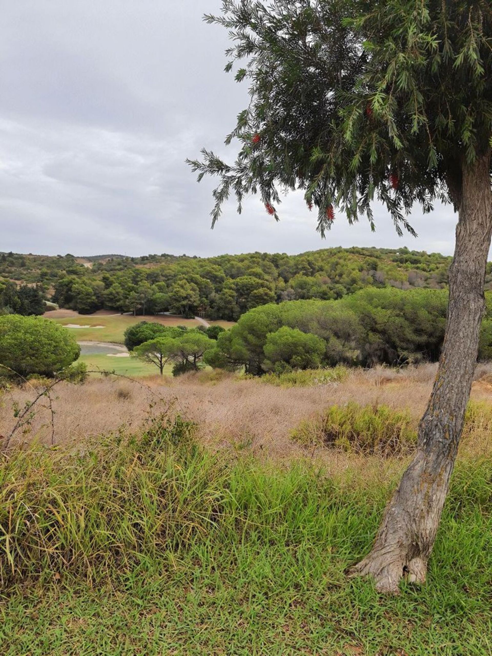 Land in Manilva, Andalucía 10715682