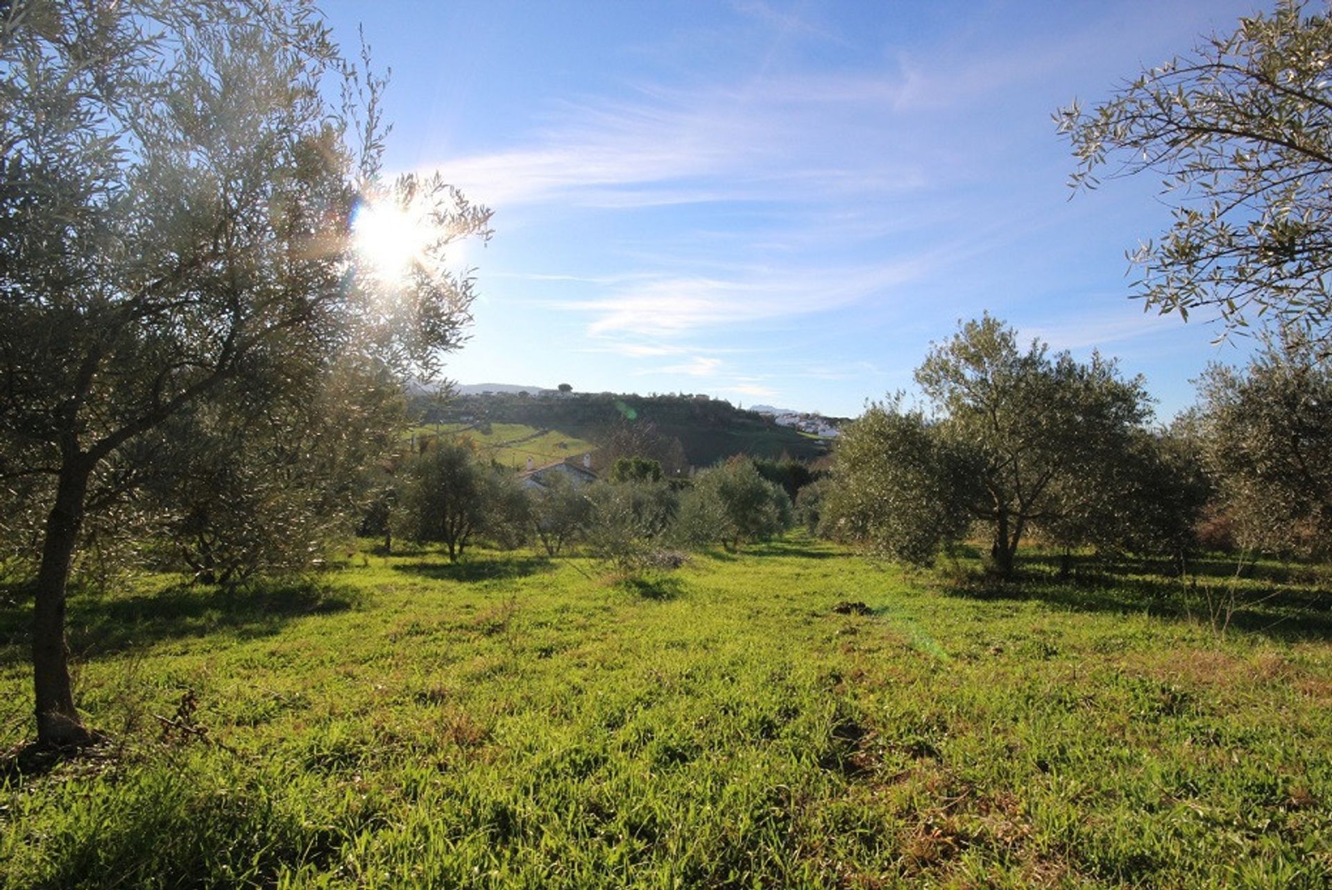 Hus i Ronda, Andalusien 10715689