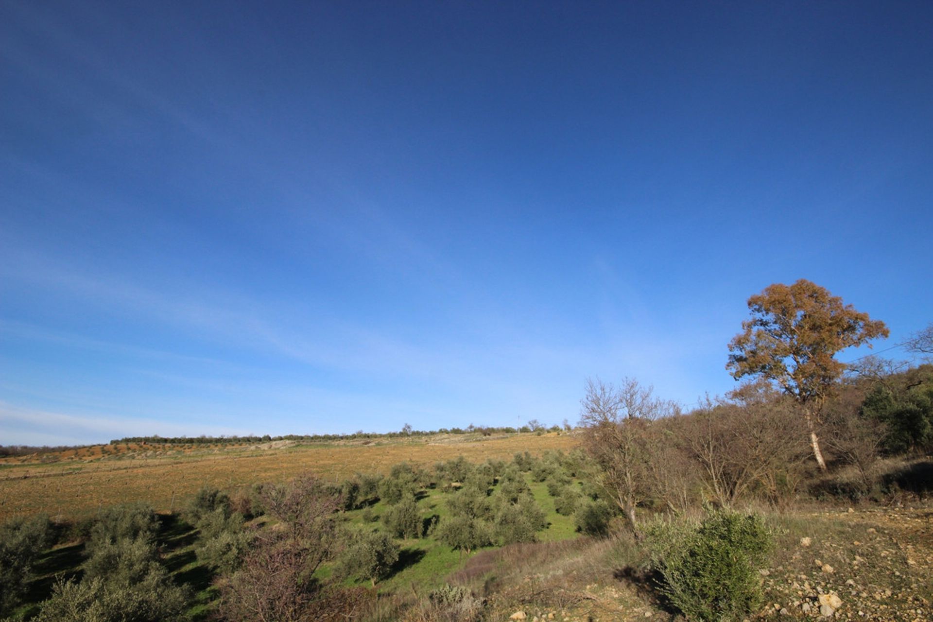 Talo sisään Ronda, Andalucía 10715689