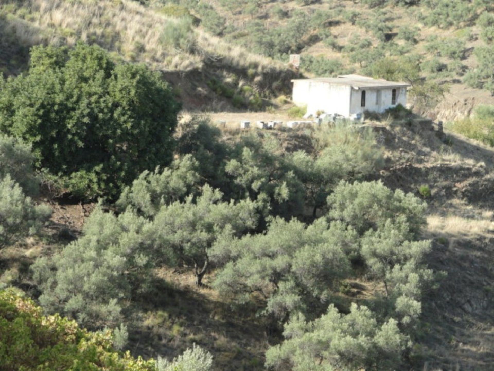 loger dans , Andalucía 10715690