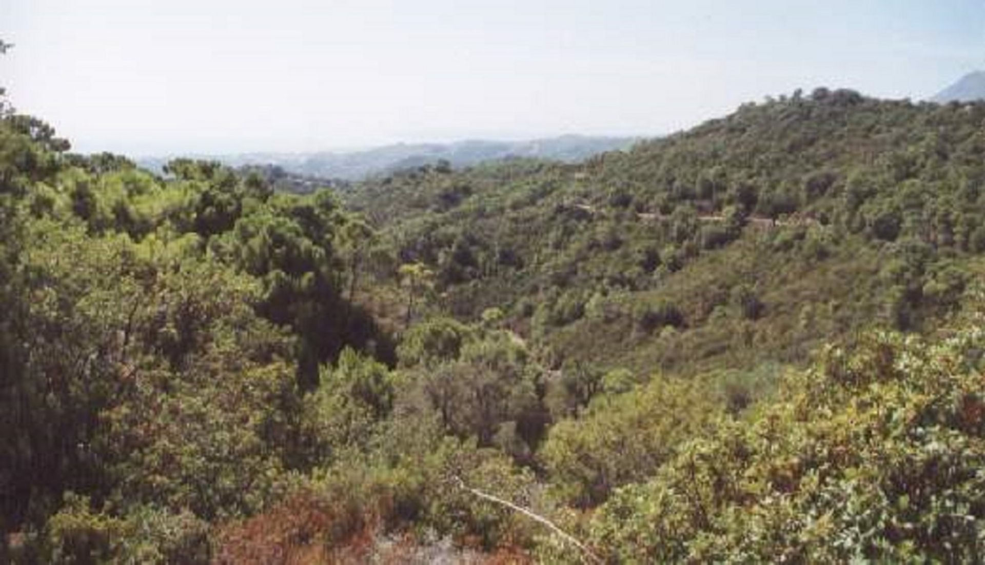 Tanah dalam Estepona, Andalucía 10715841