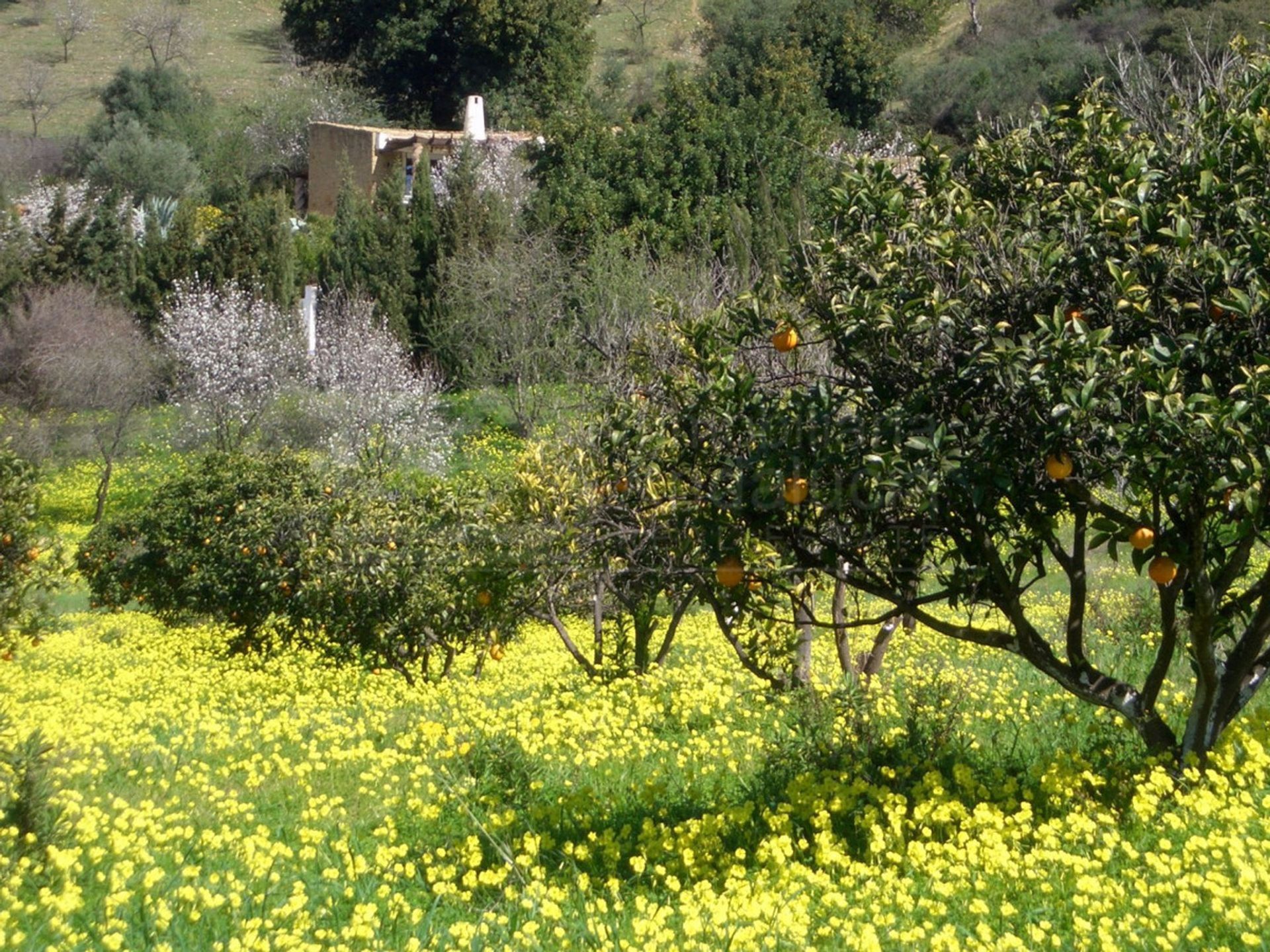 Talo sisään Gaucín, Andalucía 10715858