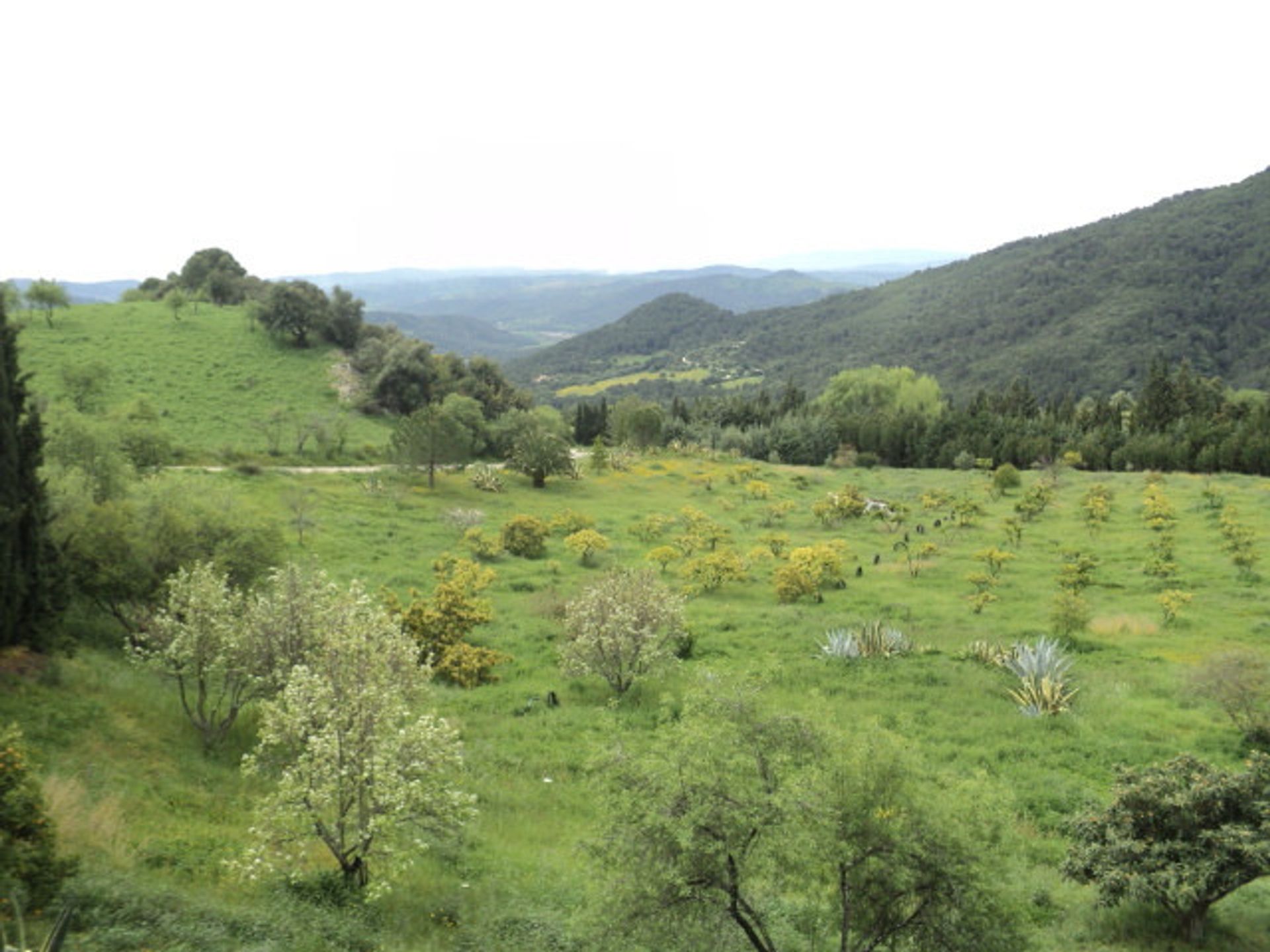 Talo sisään Gaucín, Andalucía 10715858