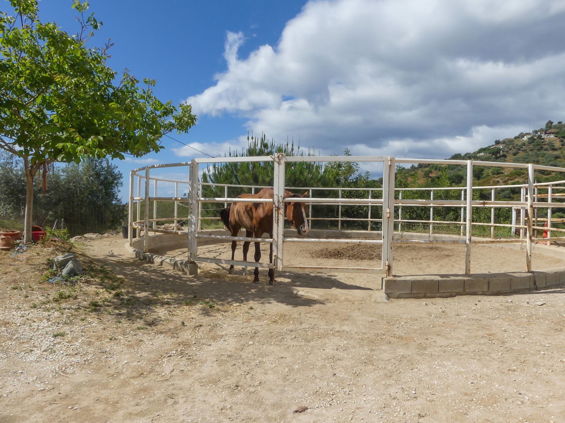 Talo sisään Ojen, Andalusia 10715859