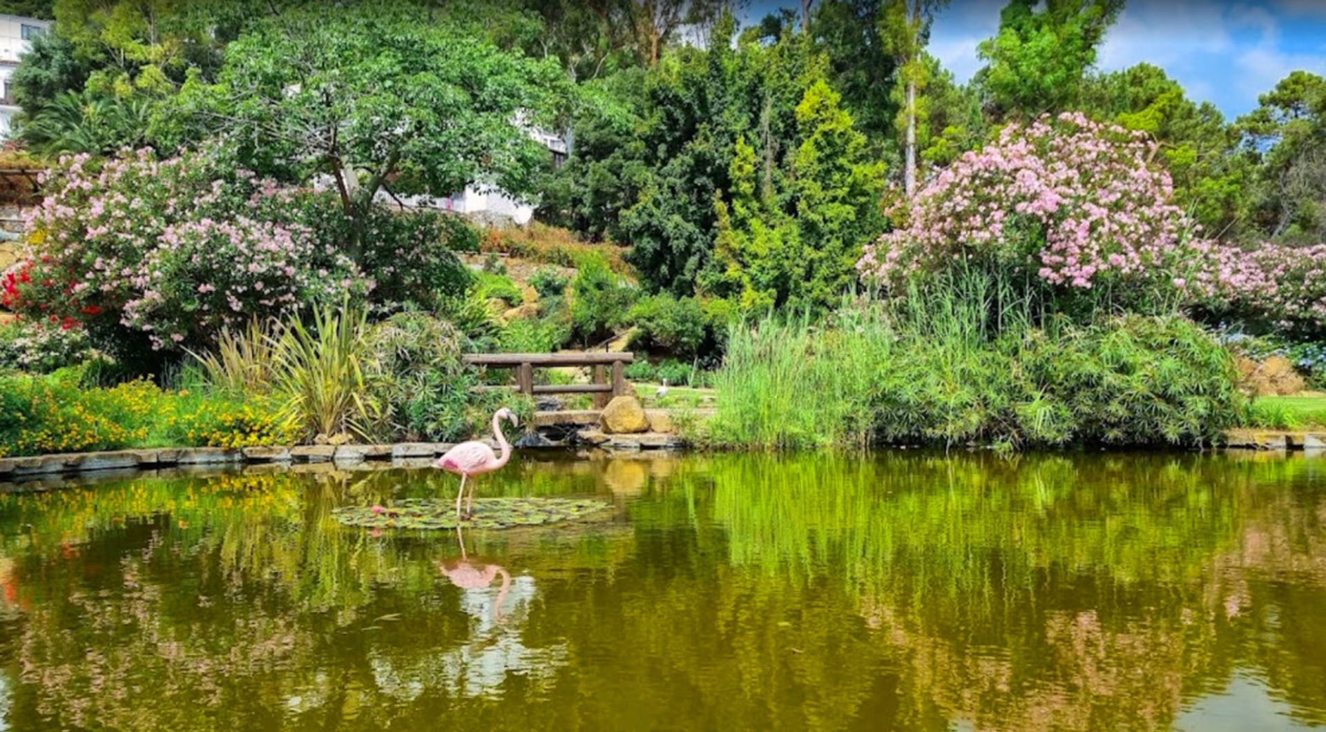 Tierra en Benahavís, Andalucía 10715954