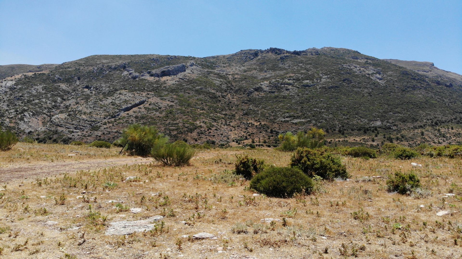 Terre dans Ronda, Andalucía 10715975