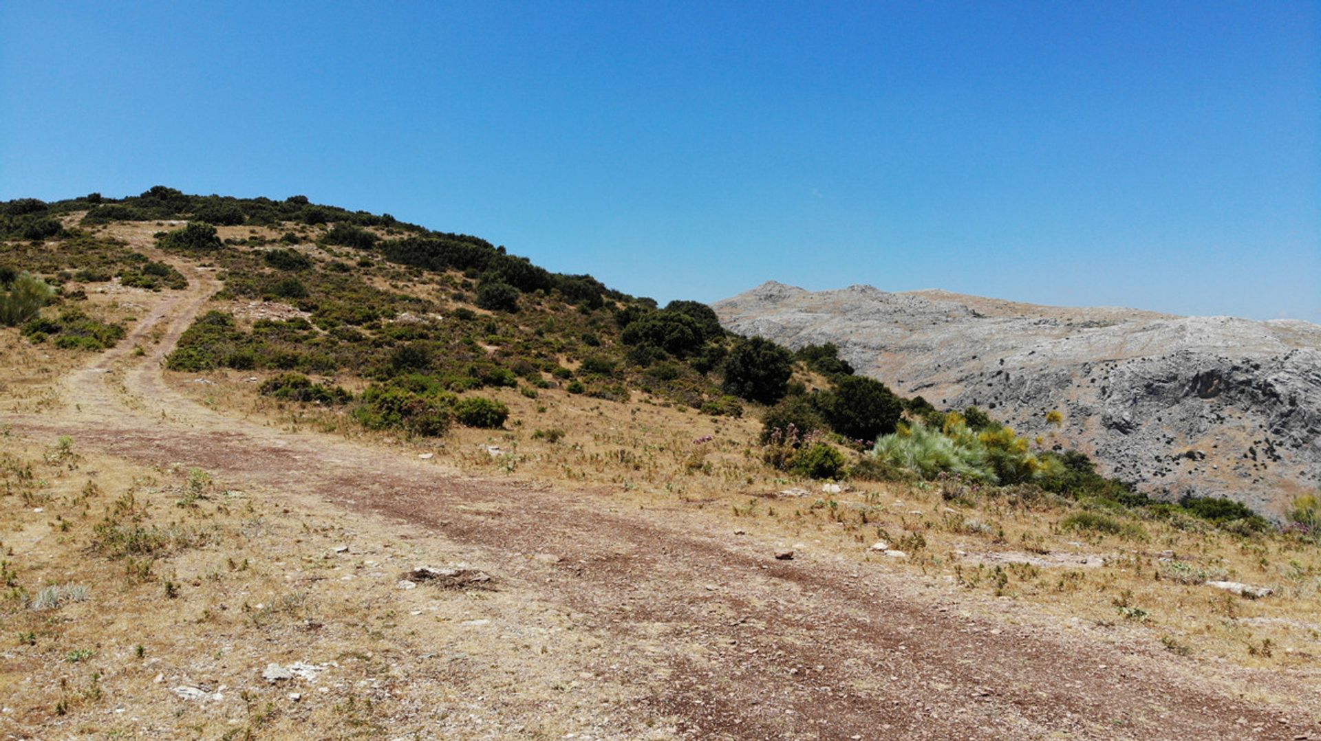 Земельные участки в Ronda, Andalucía 10715975