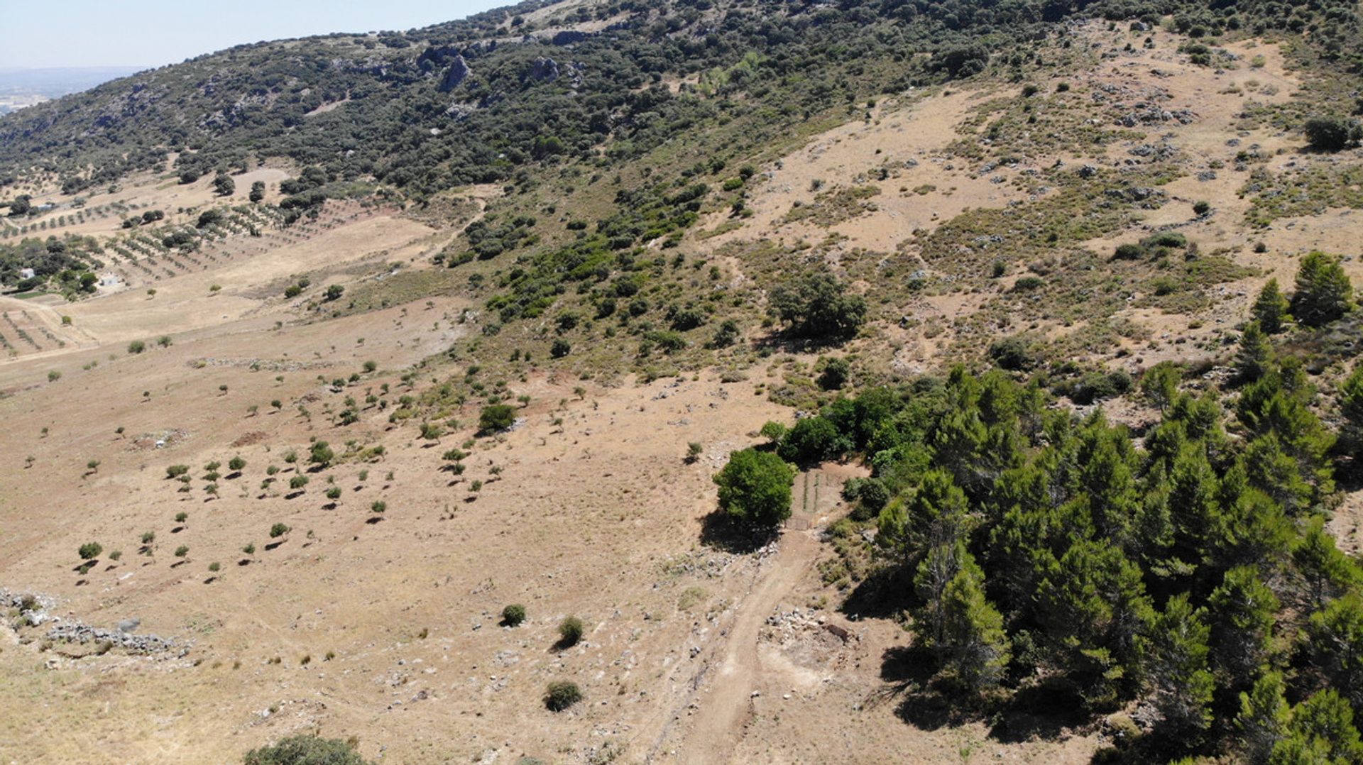 Terra no Ronda, Andalucía 10715975