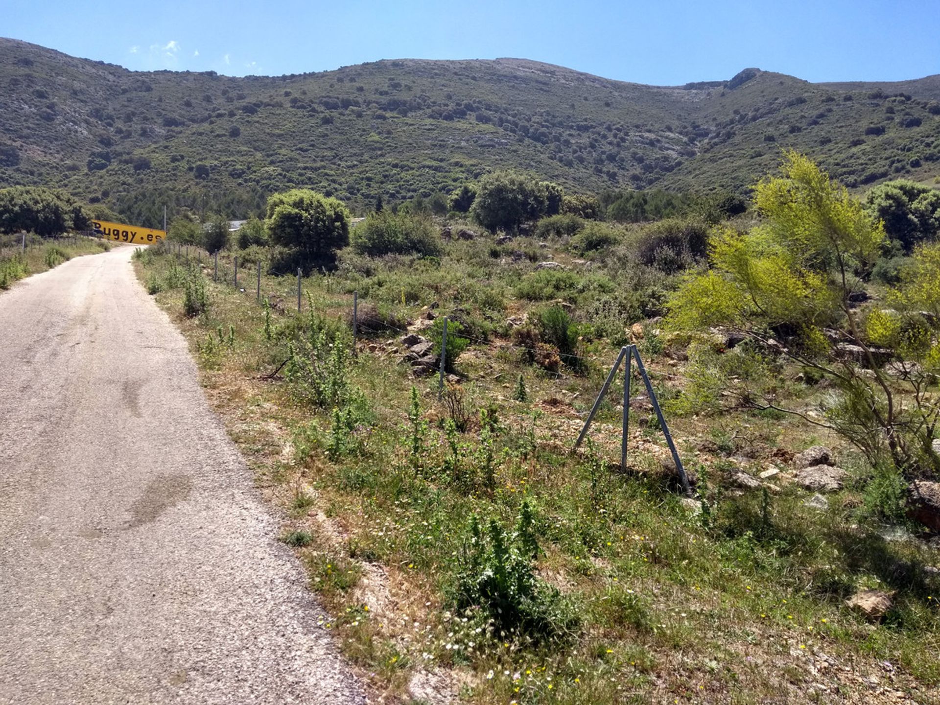 Земельные участки в Ronda, Andalucía 10715975