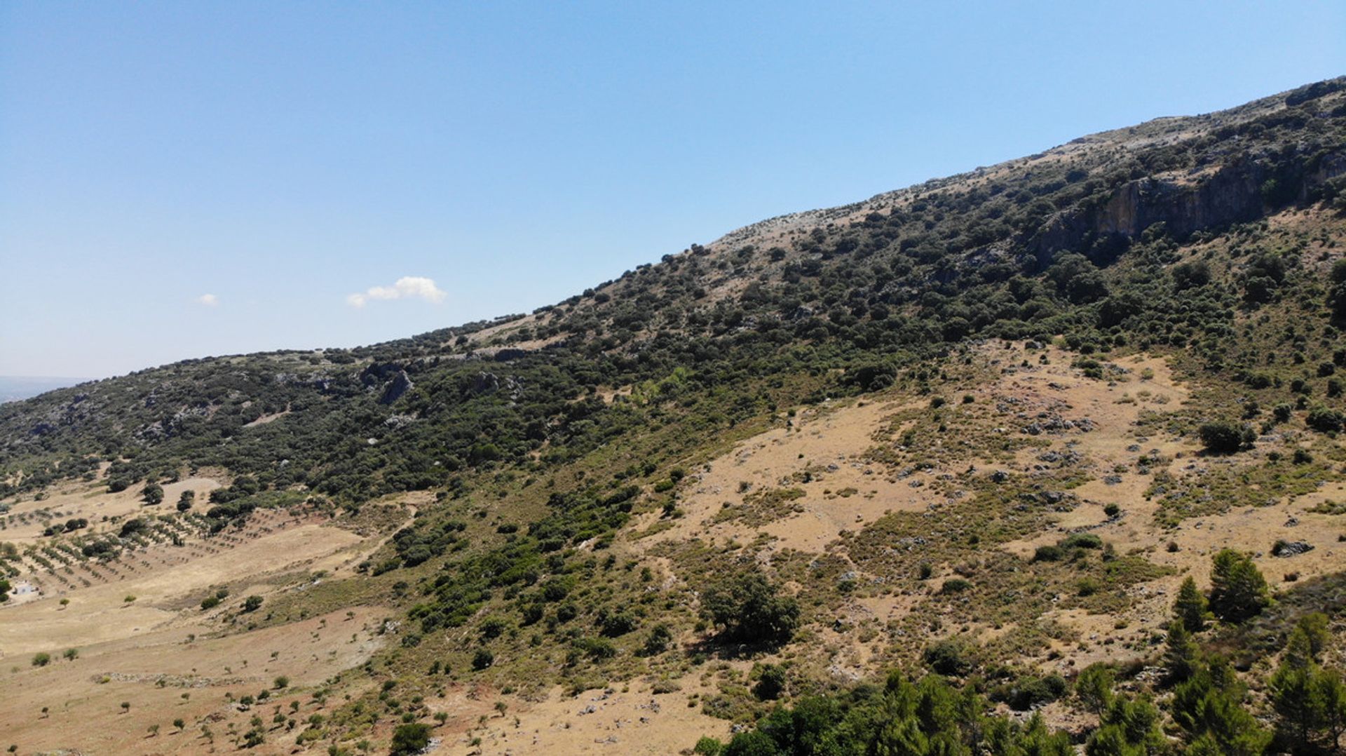 Terre dans Ronda, Andalucía 10715975