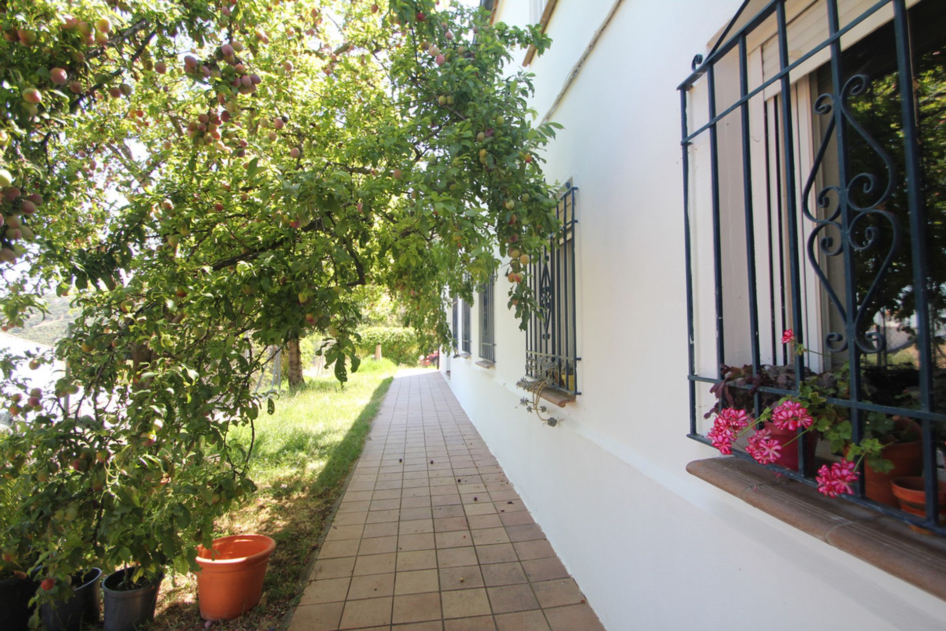 Terre dans Ronda, Andalucía 10715975