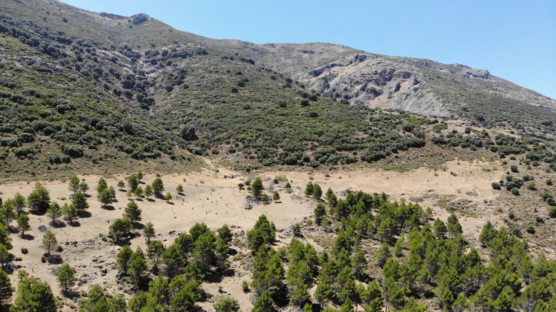 Земельные участки в Ronda, Andalucía 10715975