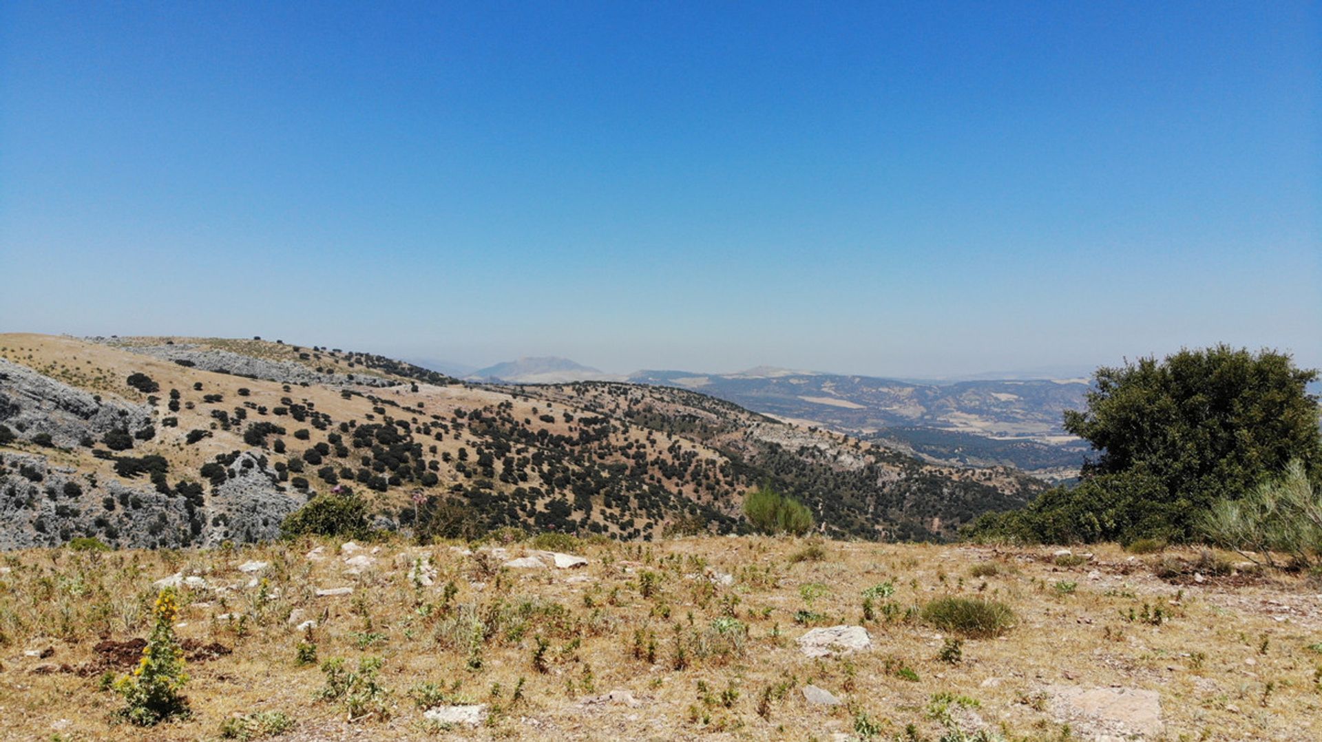 Γη σε Ronda, Andalucía 10715975