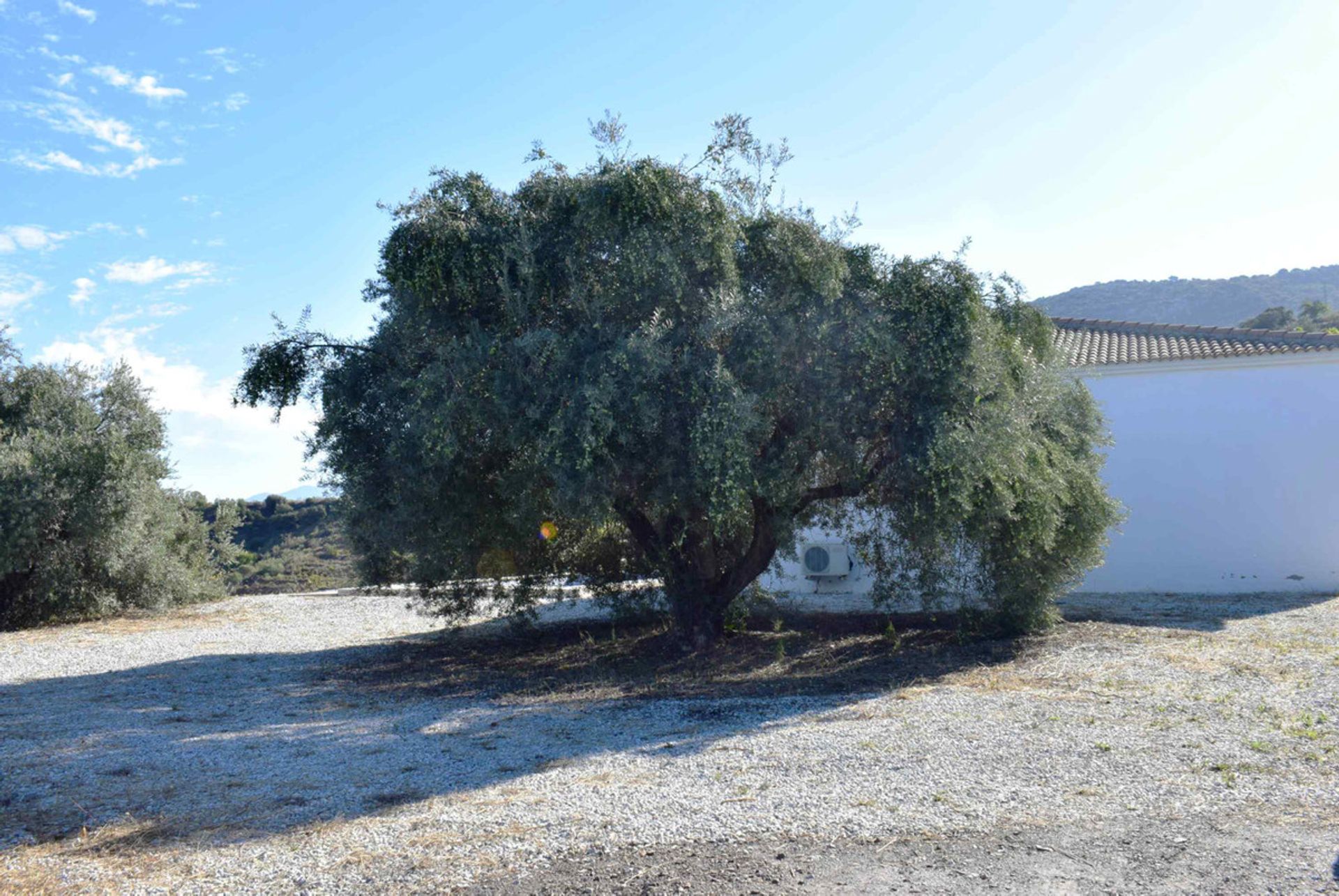 بيت في Comares, Andalucía 10715980