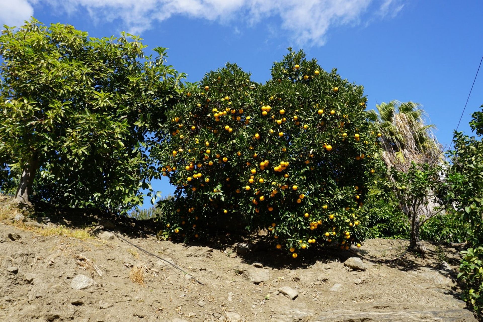 Talo sisään Frigiliana, Andalucía 10716044